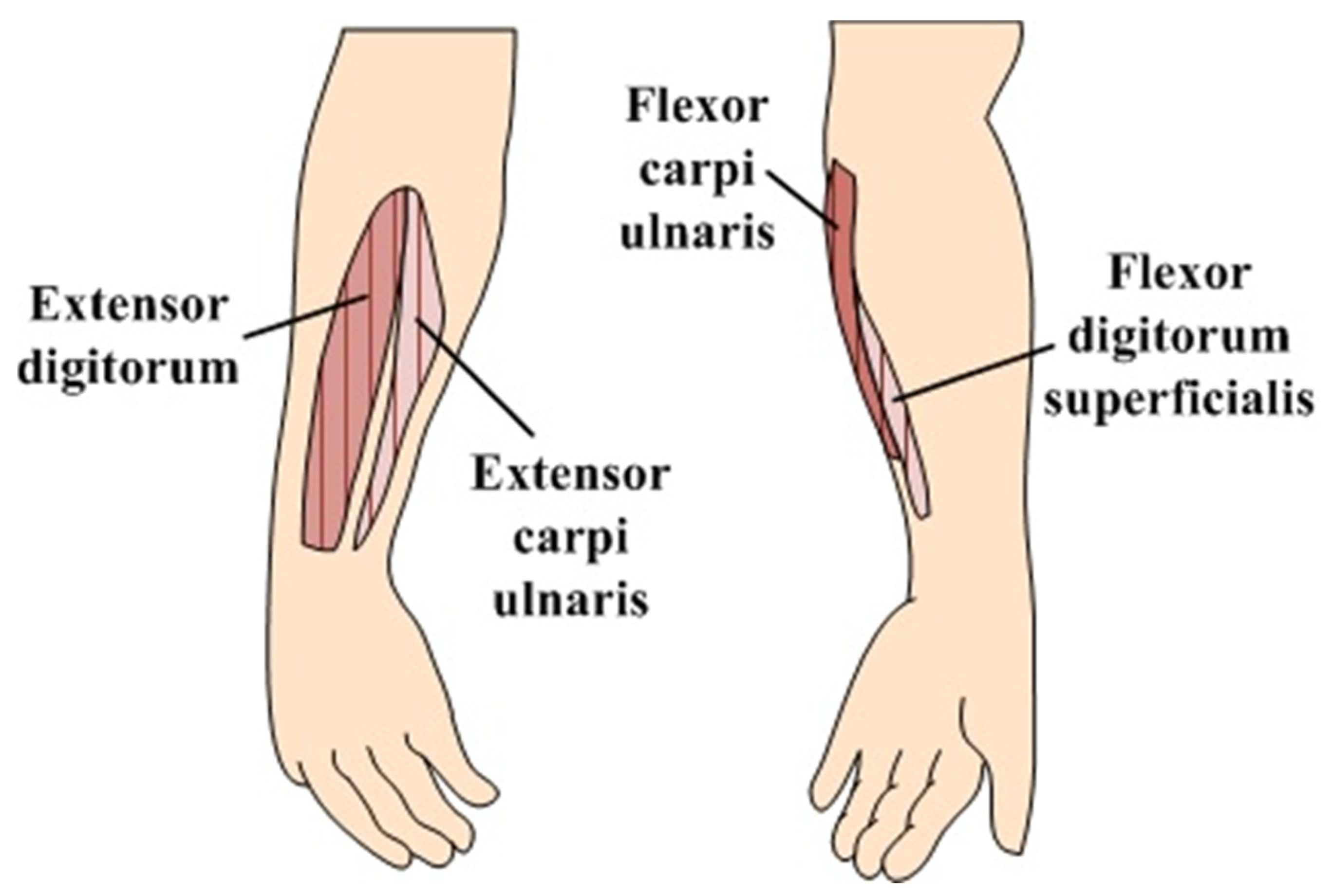 Sensors 22 02236 g008