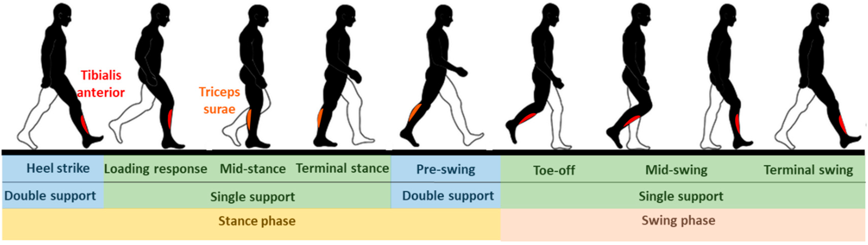 Sensors 22 02244 g001 Sensors 22 02244 g001