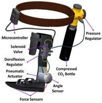 Sensors 22 02244 i007 Sensors 22 02244 i007