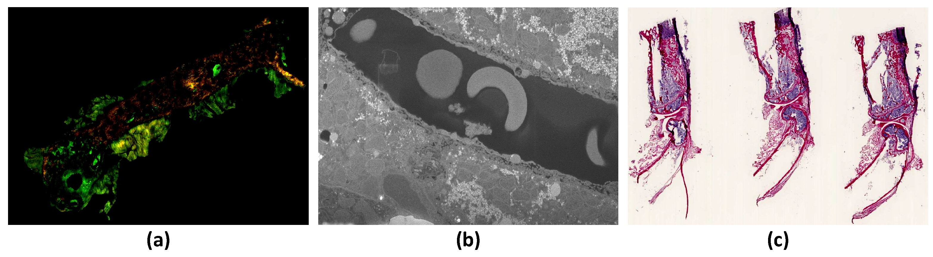 Sensors 22 02322 g003