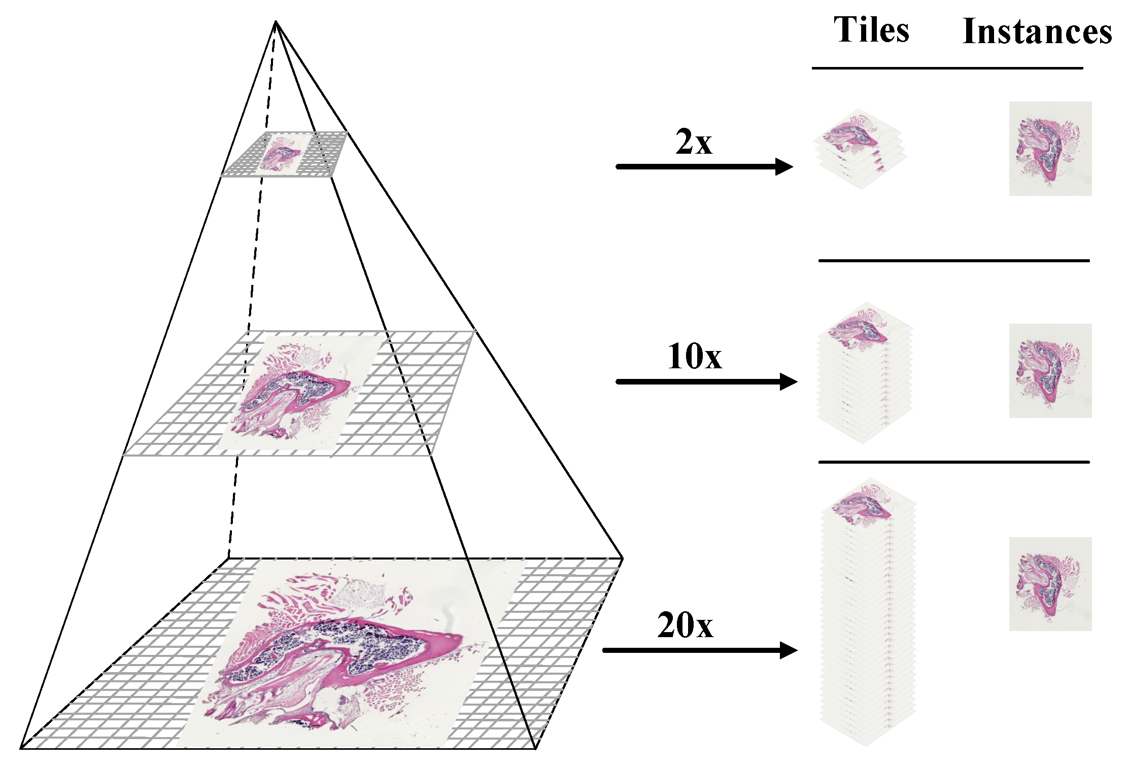 Sensors 22 02322 g007