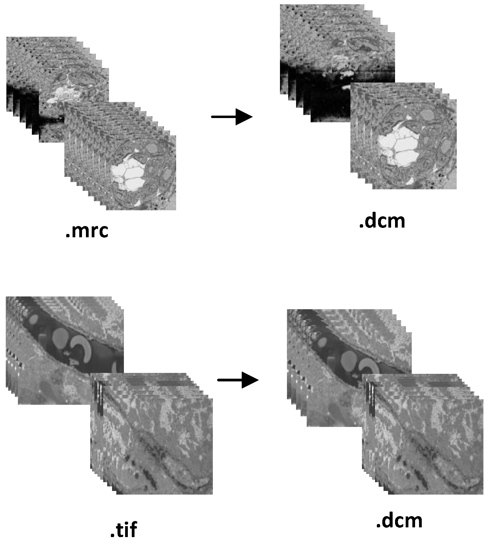 Sensors 22 02322 g010