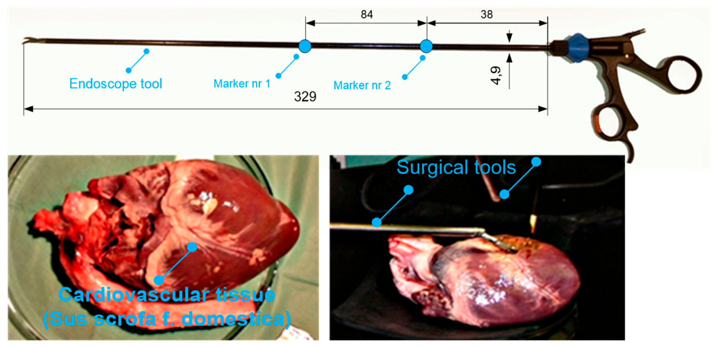 Sensors 22 02335 g006