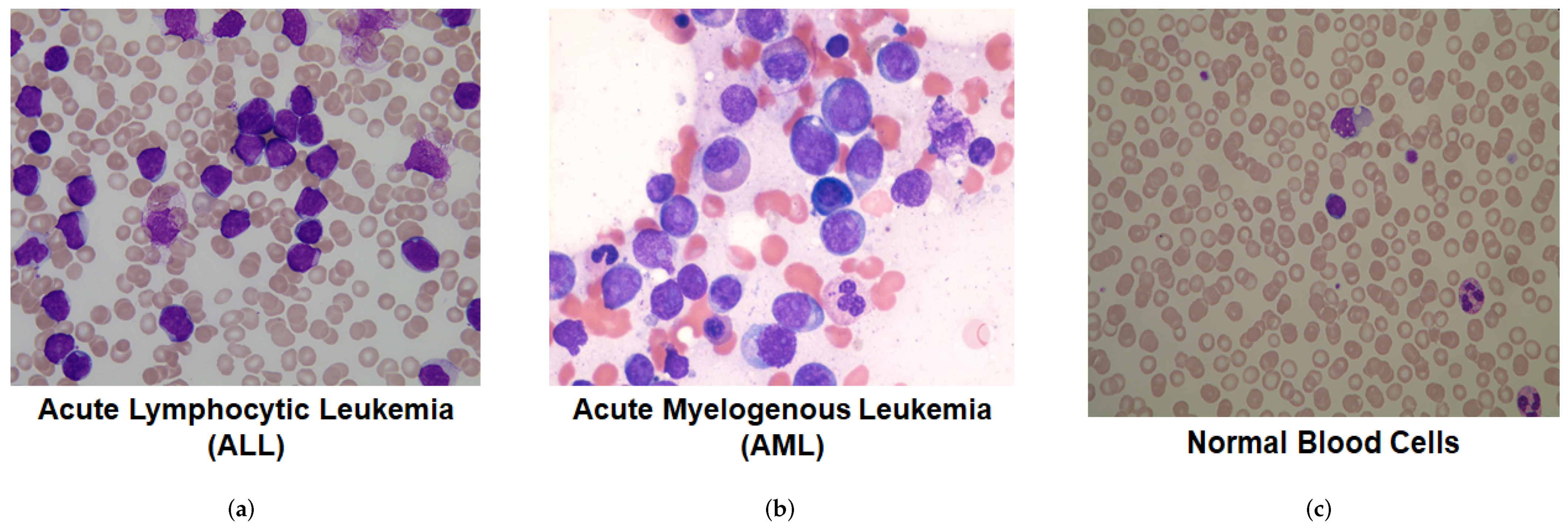 Sensors 22 02348 g001 550