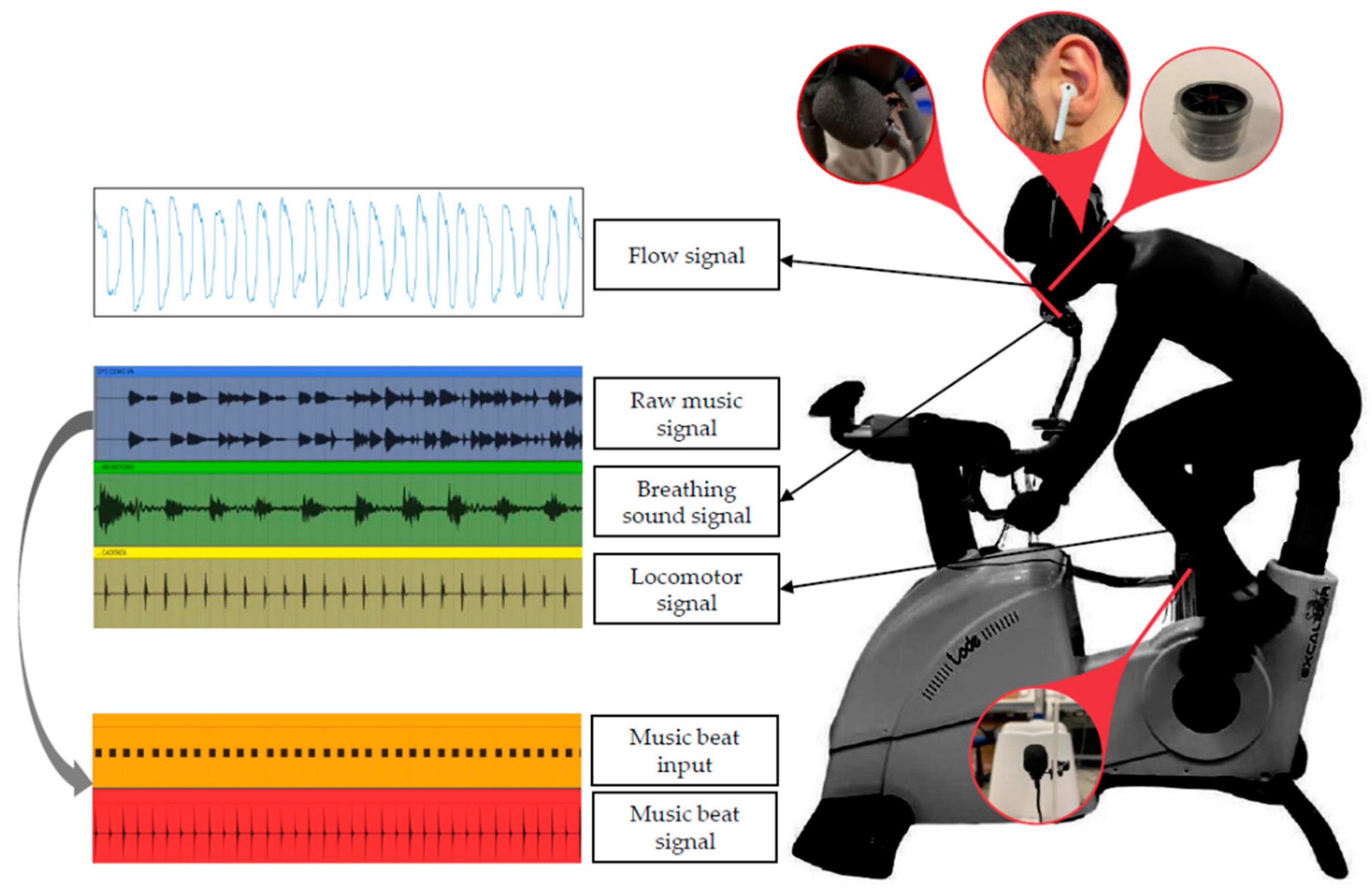 Sensors 22 02351 g004