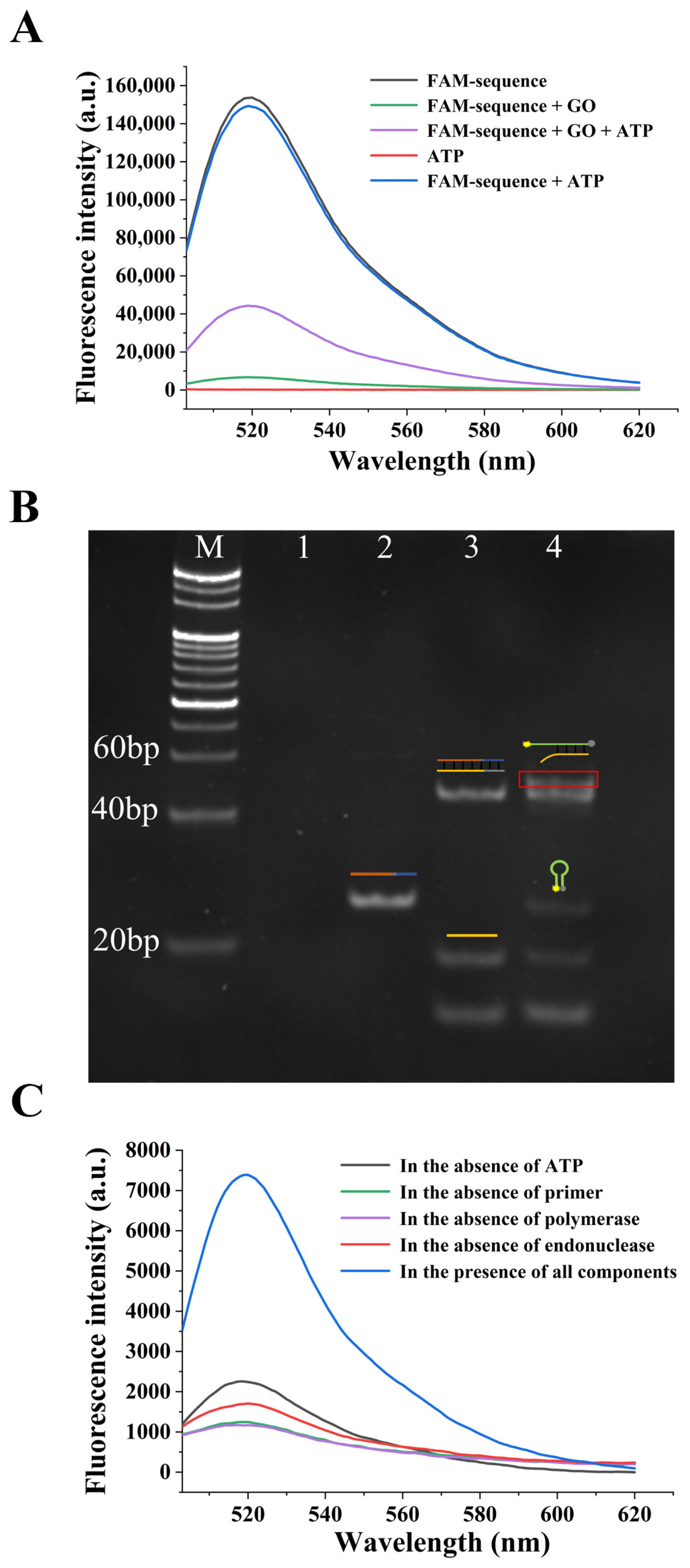Sensors 22 02425 g003 550