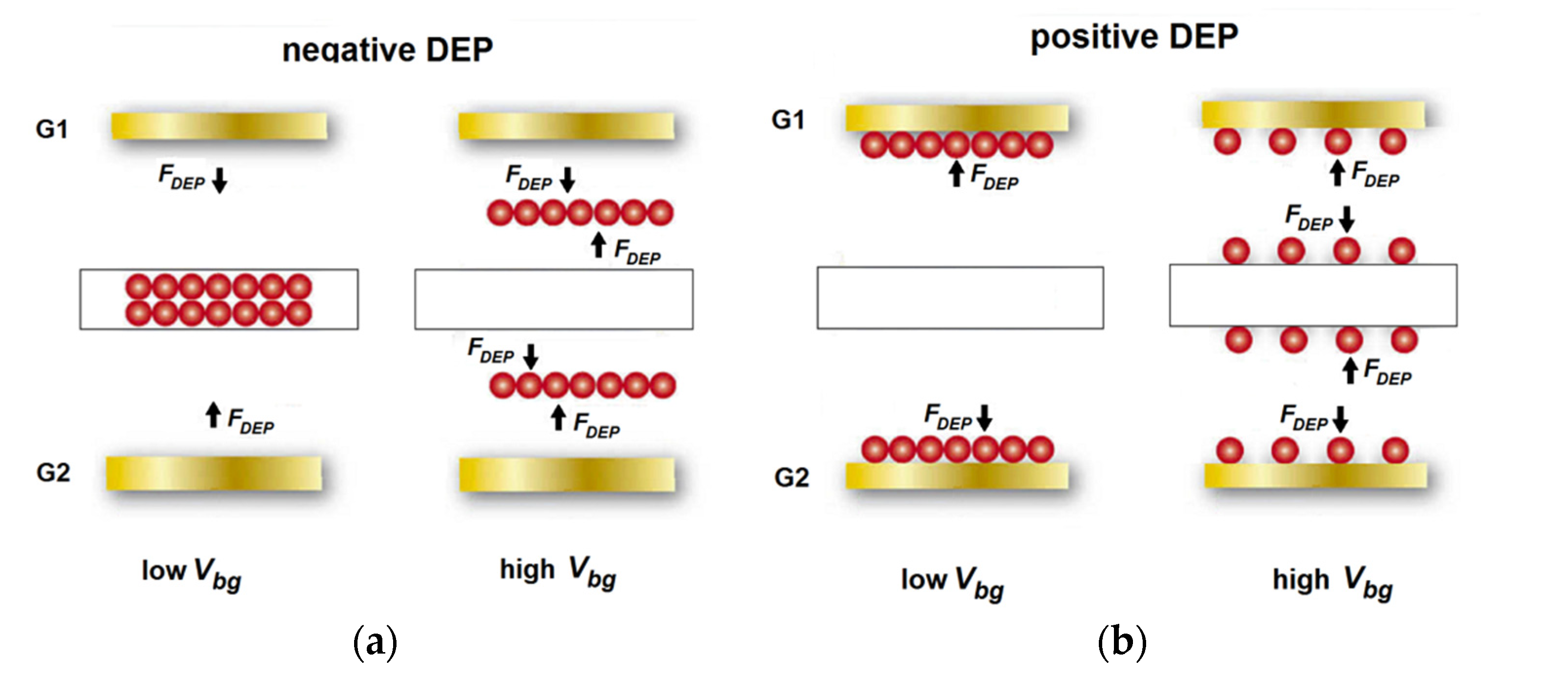 Sensors 22 02460 g008 550