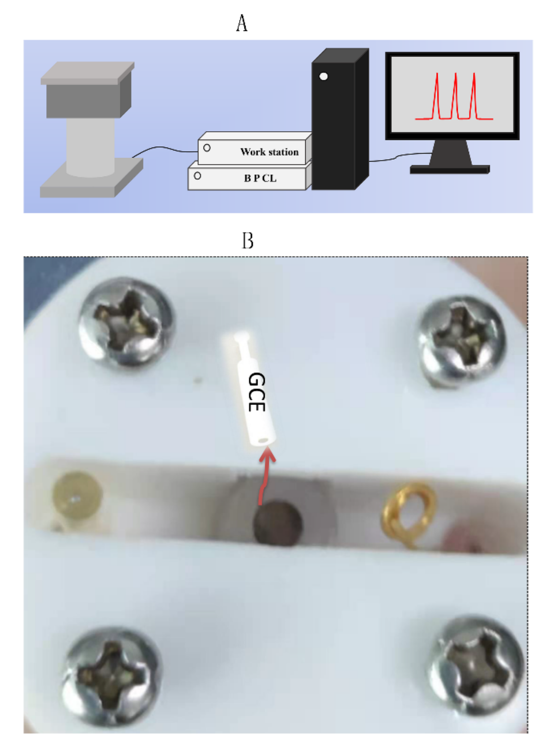 Sensors 22 02519 sch001 550