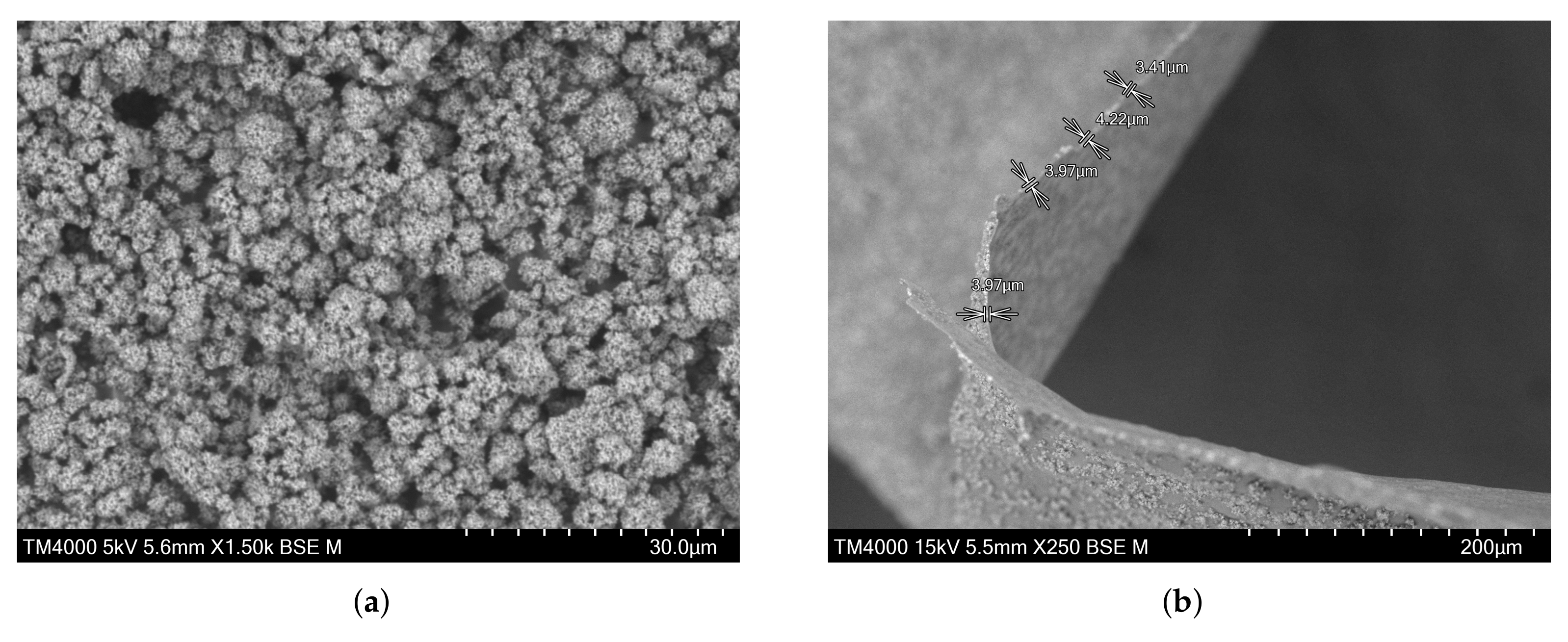 Sensors 22 02531 g010