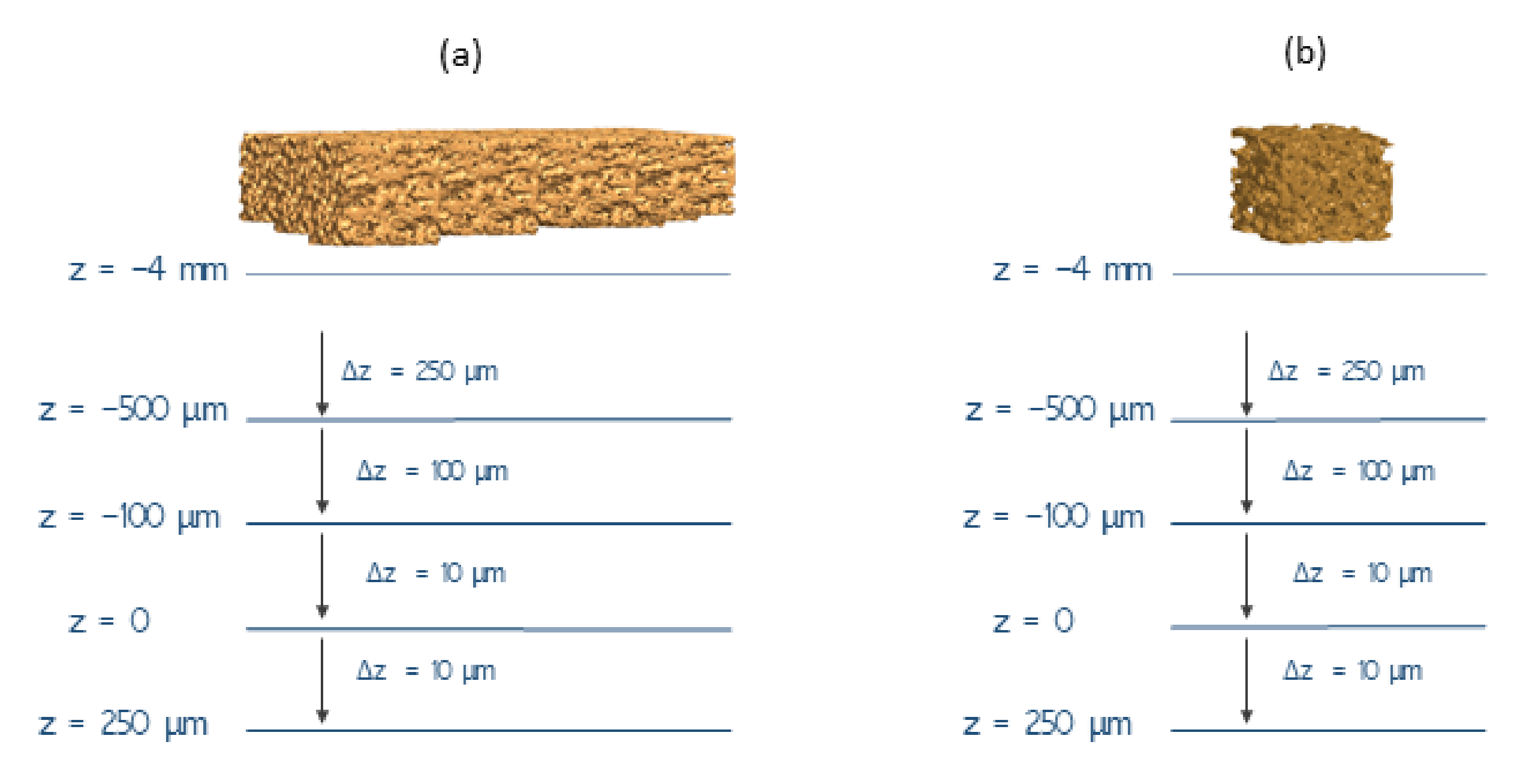 Sensors 22 02531 g011
