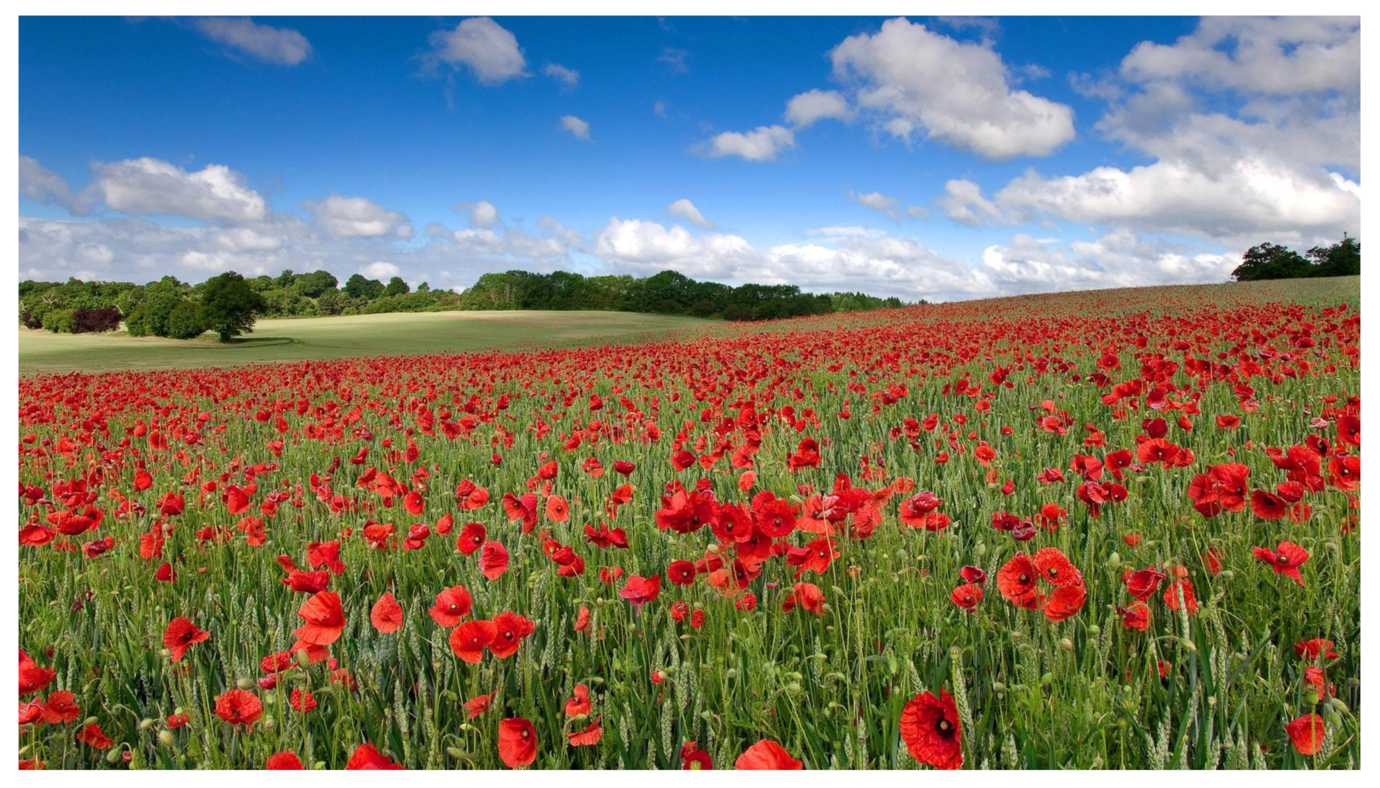 Sensors 22 02628 g012 550