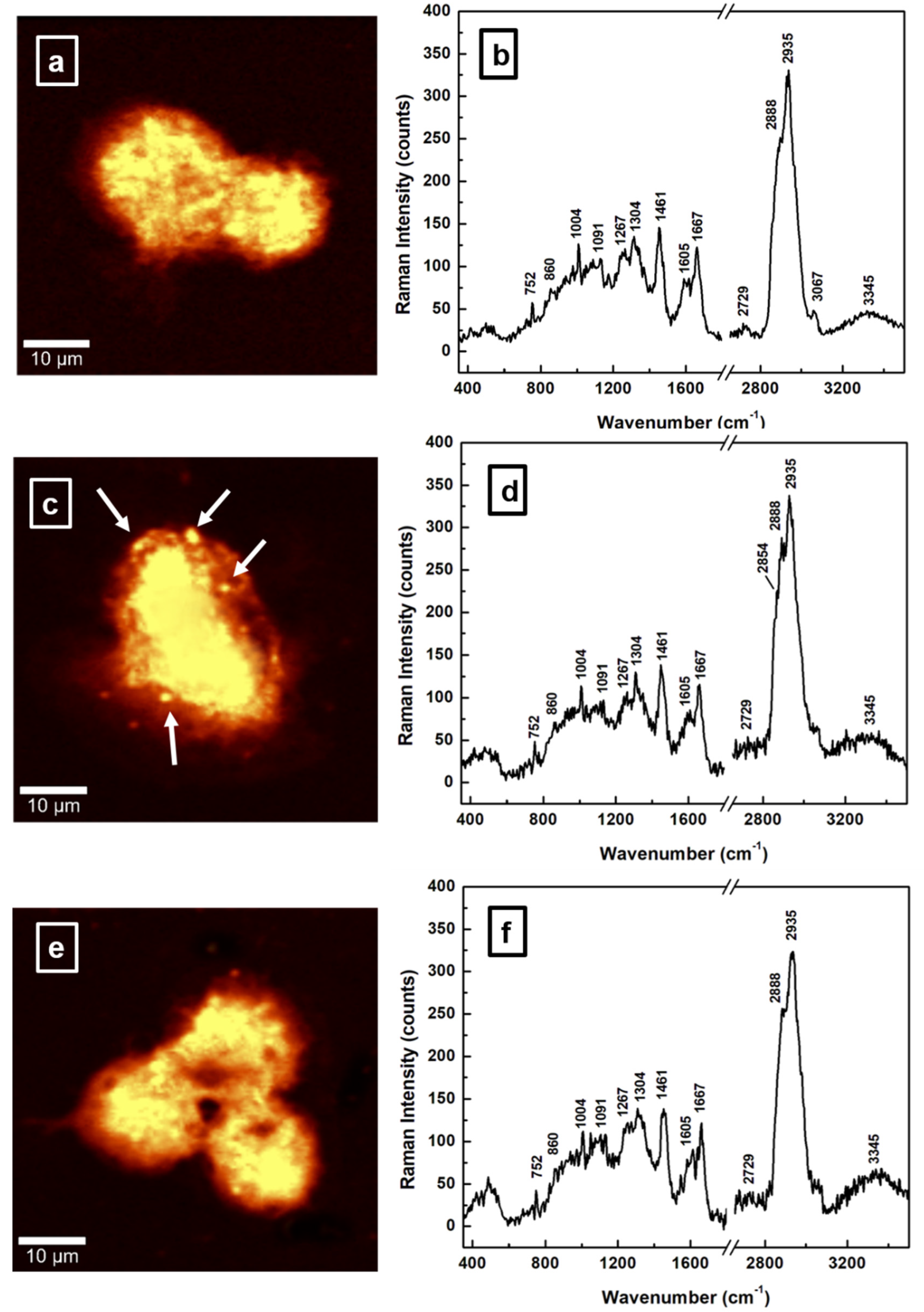 Sensors 22 02643 g002 Sensors 22 02643 g002