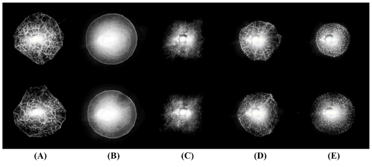 Sensors 22 02646 g003 Sensors 22 02646 g003