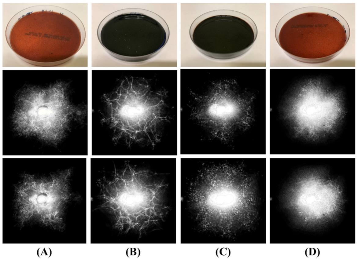Sensors 22 02646 g004 Sensors 22 02646 g004
