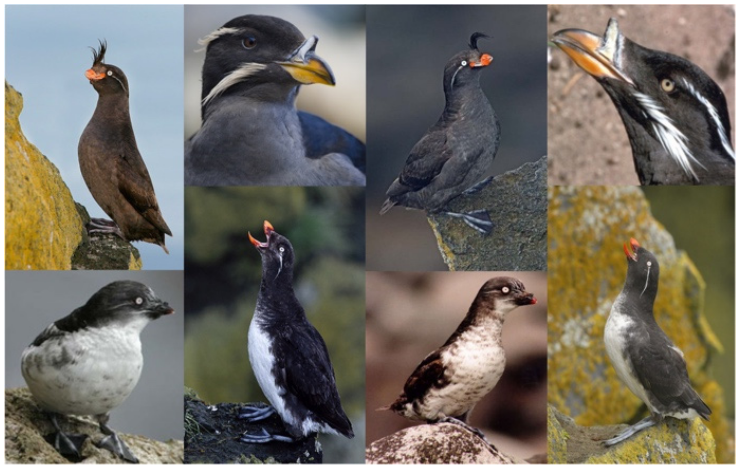 Sensors 22 02648 g006 550