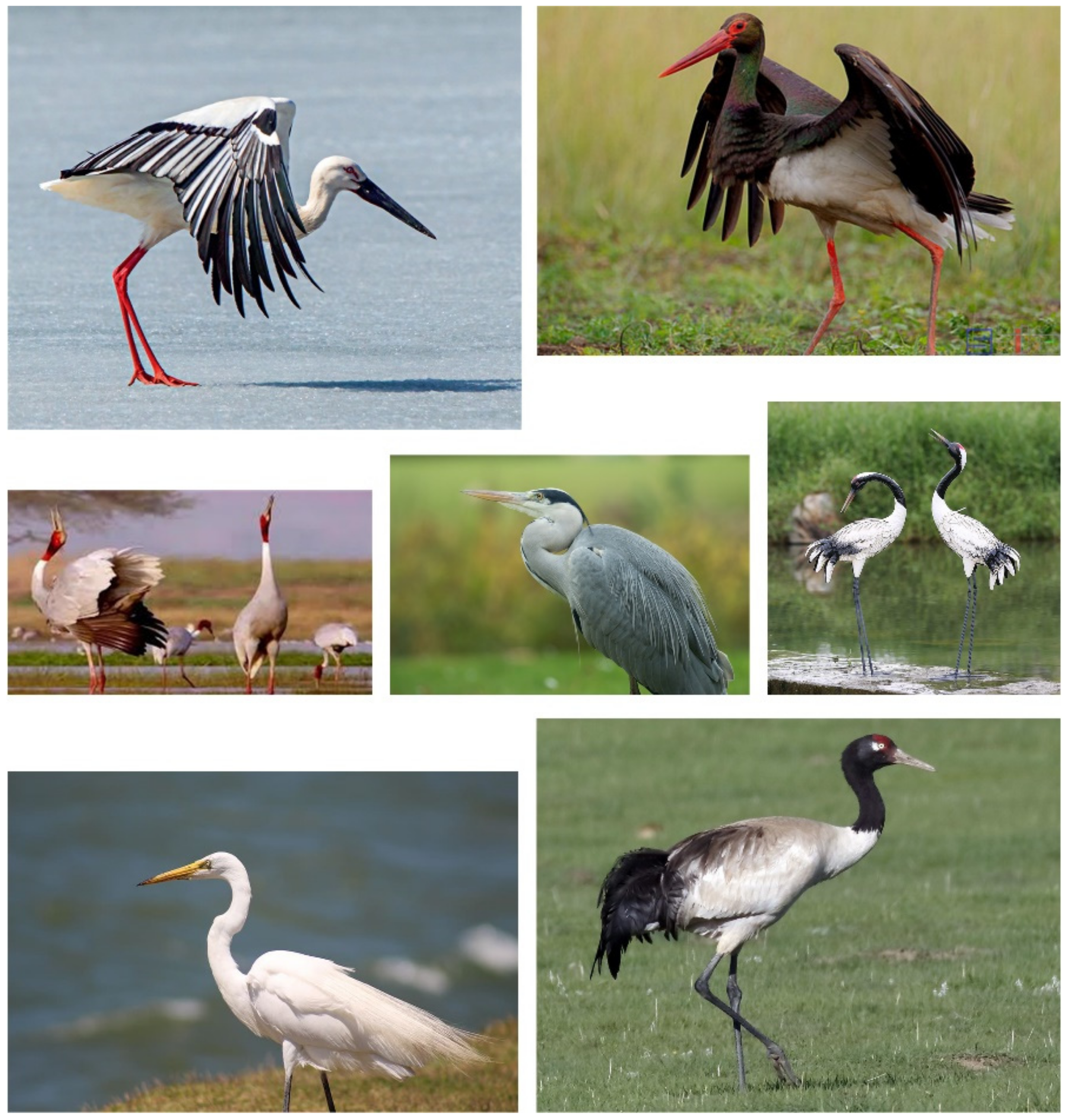 Sensors 22 02648 g011 550