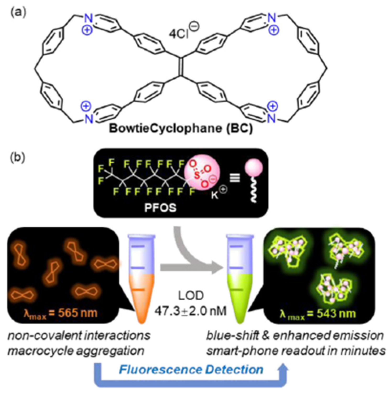 Sensors 22 02649 g004 550