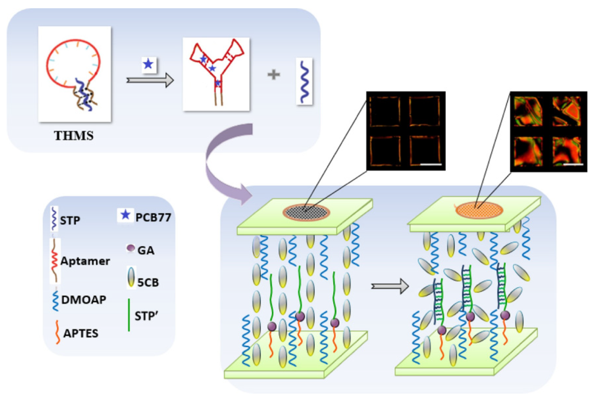 Sensors 22 02649 g015 550