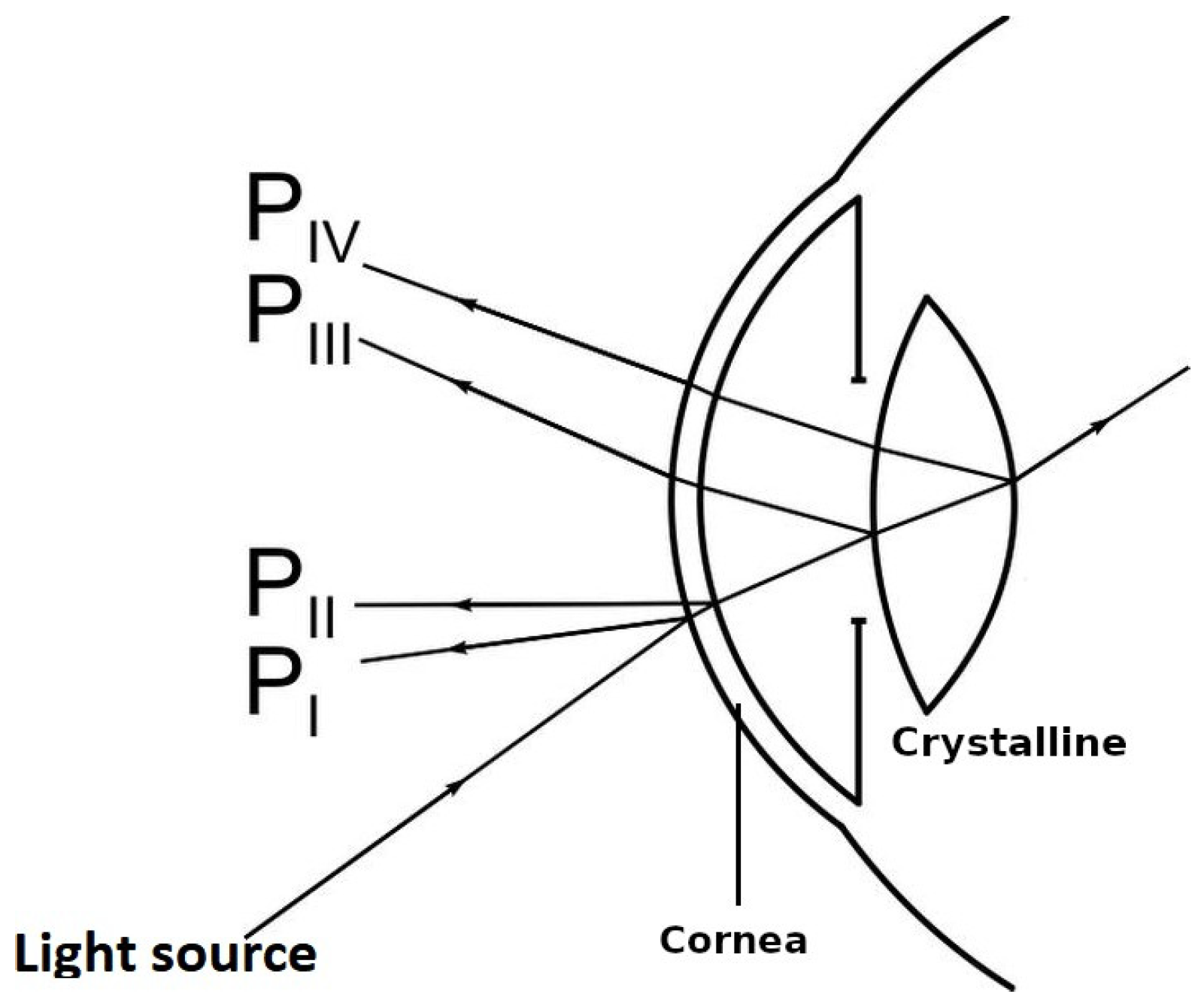 Spin Ster Reclame Sensors | Free Full-Text | Measurement of Longitudinal Chromatic Aberration in the Last Crystalline Lens Surface Using Hartmann Test and Purkinje Images Spin Ster Reclame Sensors | Free Full-Text | Measurement of Longitudinal Chromatic Aberration in the Last Crystalline Lens Surface Using Hartmann Test and Purkinje Images