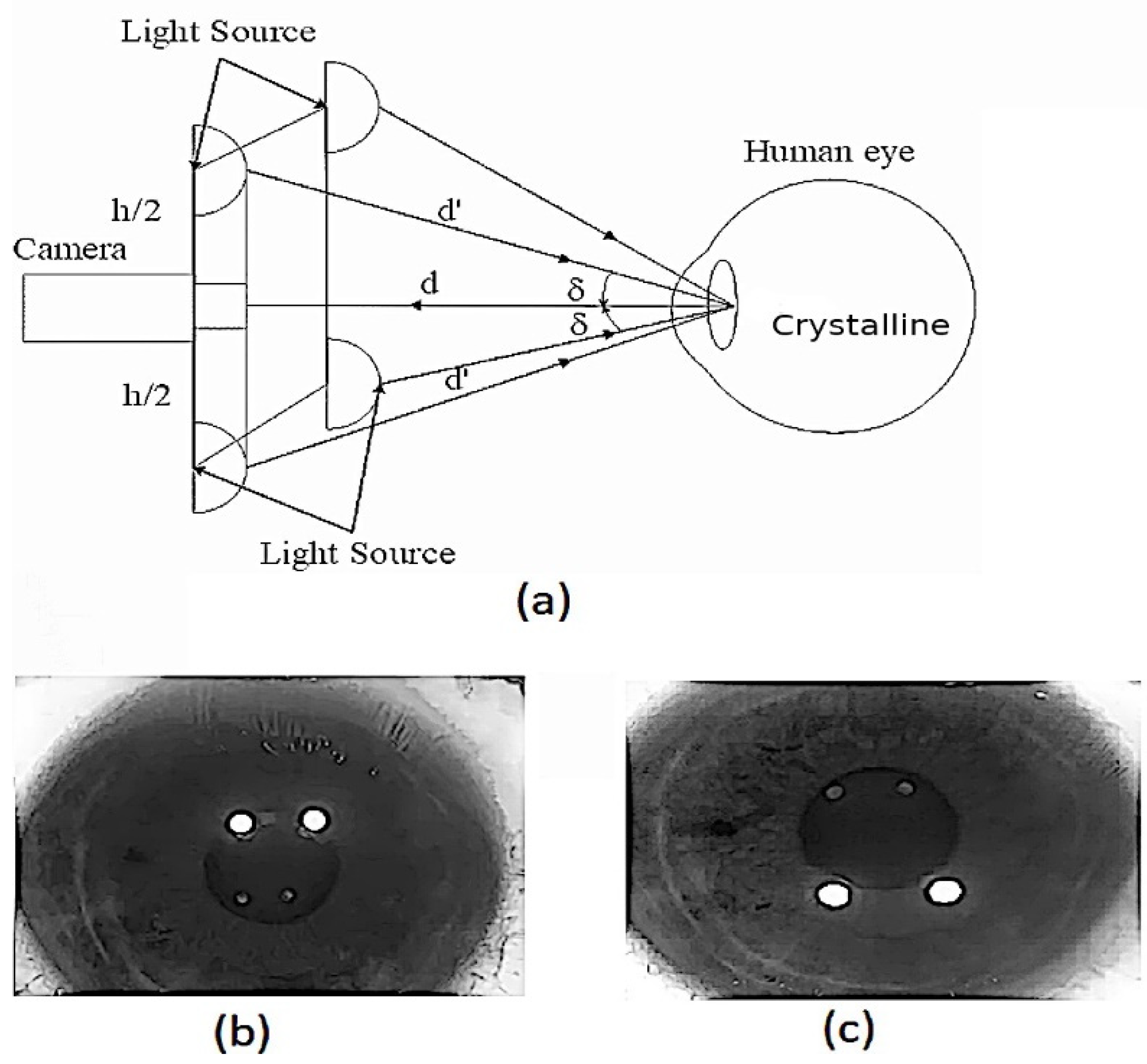 Sensors 22 02653 g005