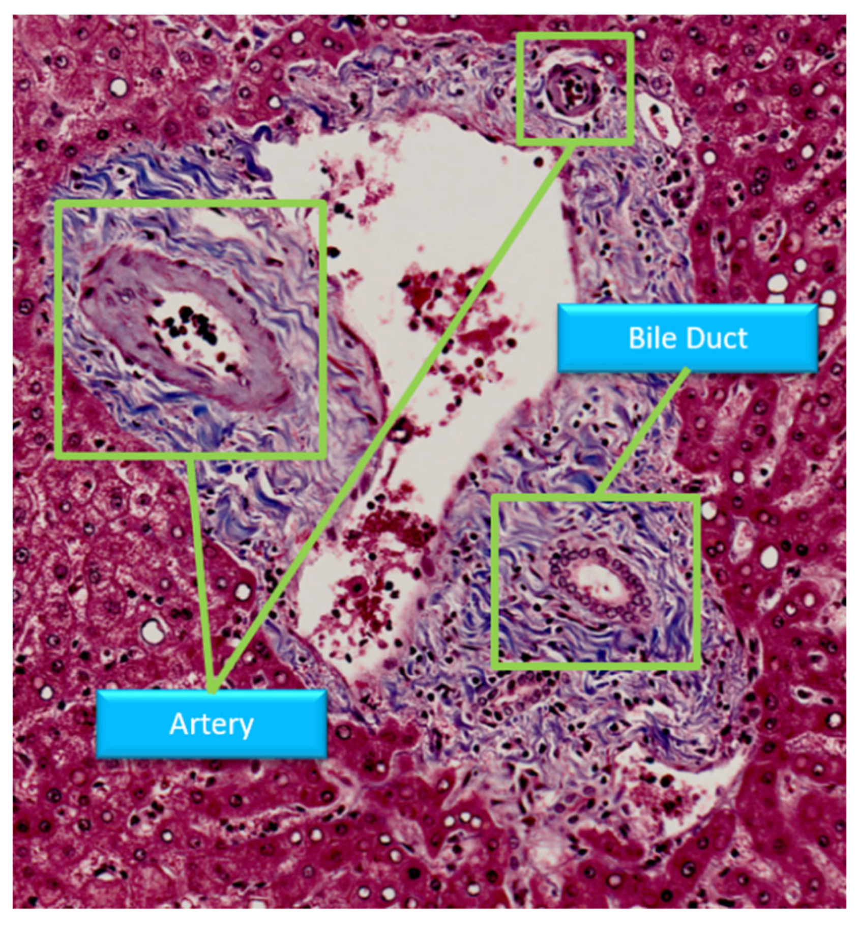 Sensors 22 02679 g001 550