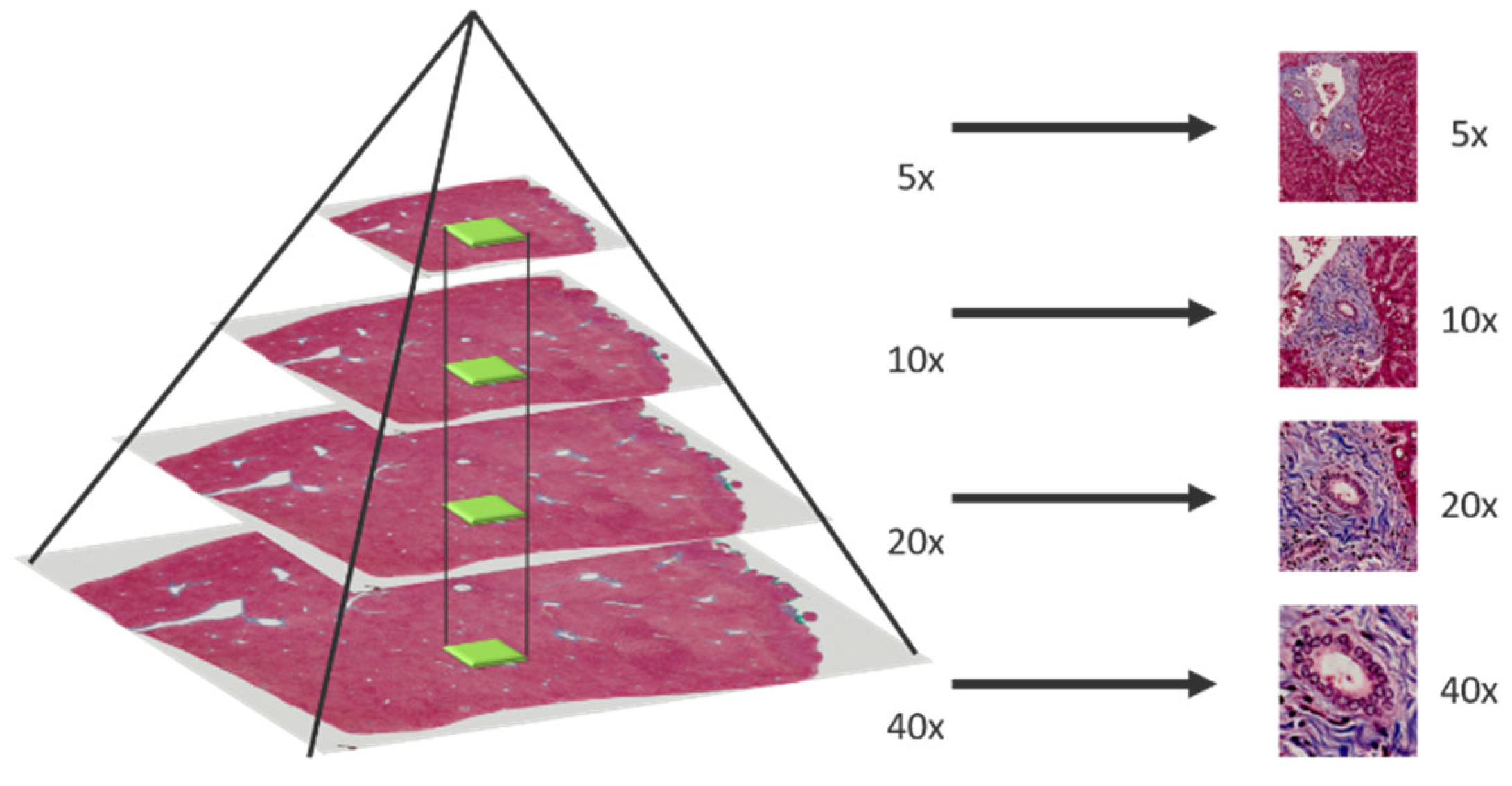 Sensors 22 02679 g002 550