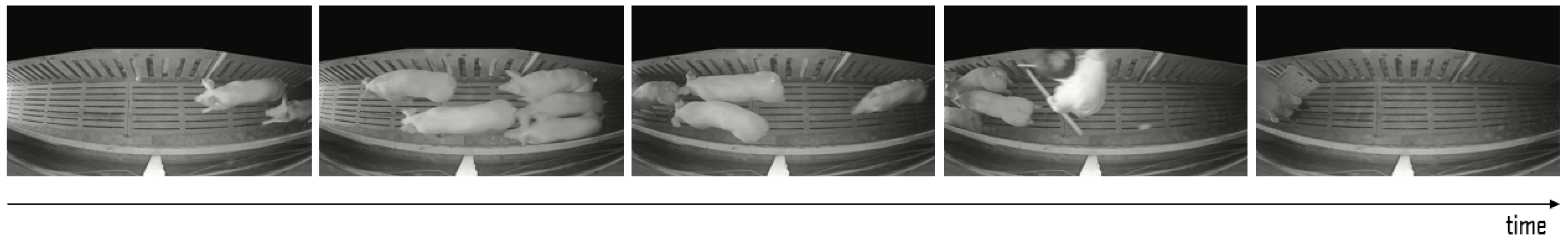 Sensors 22 02689 g006