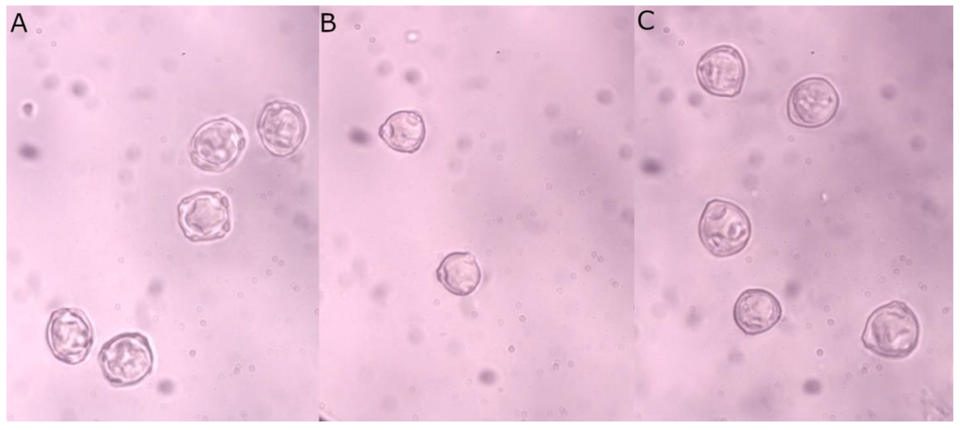 Sensors 22 02690 g001 550