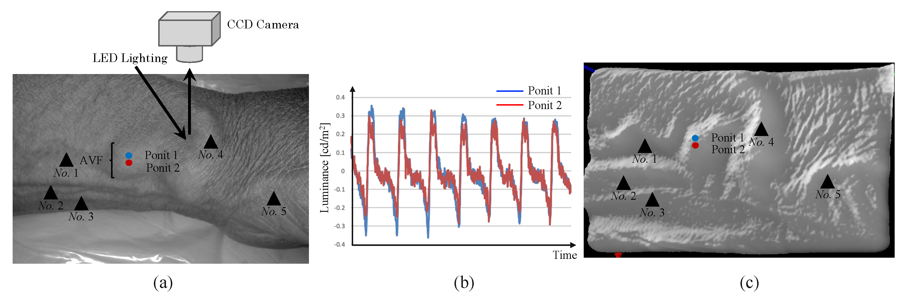 Sensors 22 02745 g008