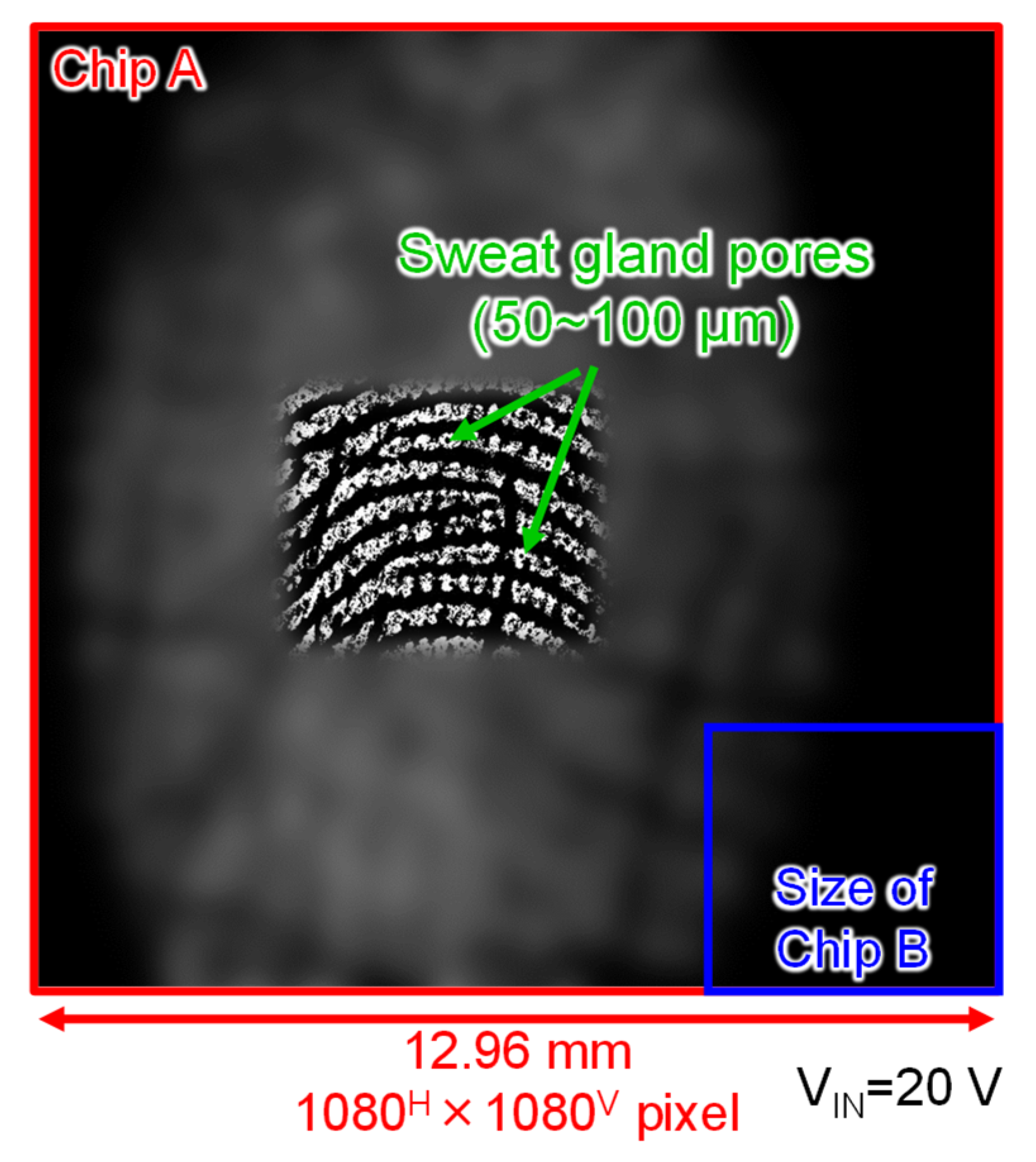 Sensors 22 02770 g014 550