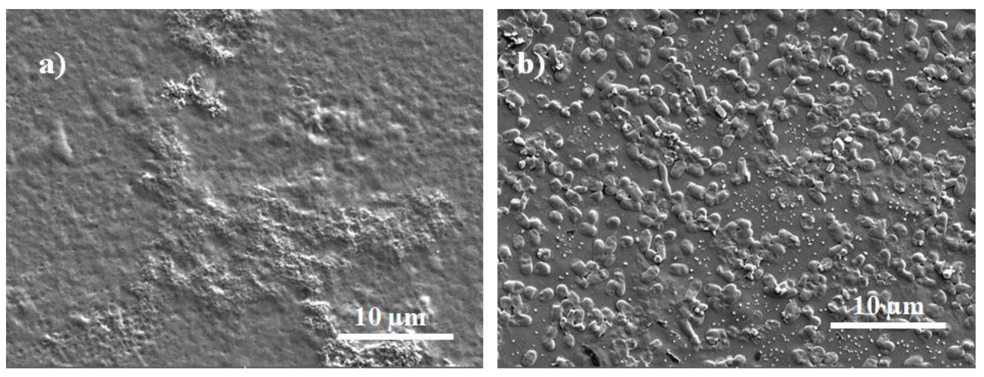 Sensors 22 02784 g008 550