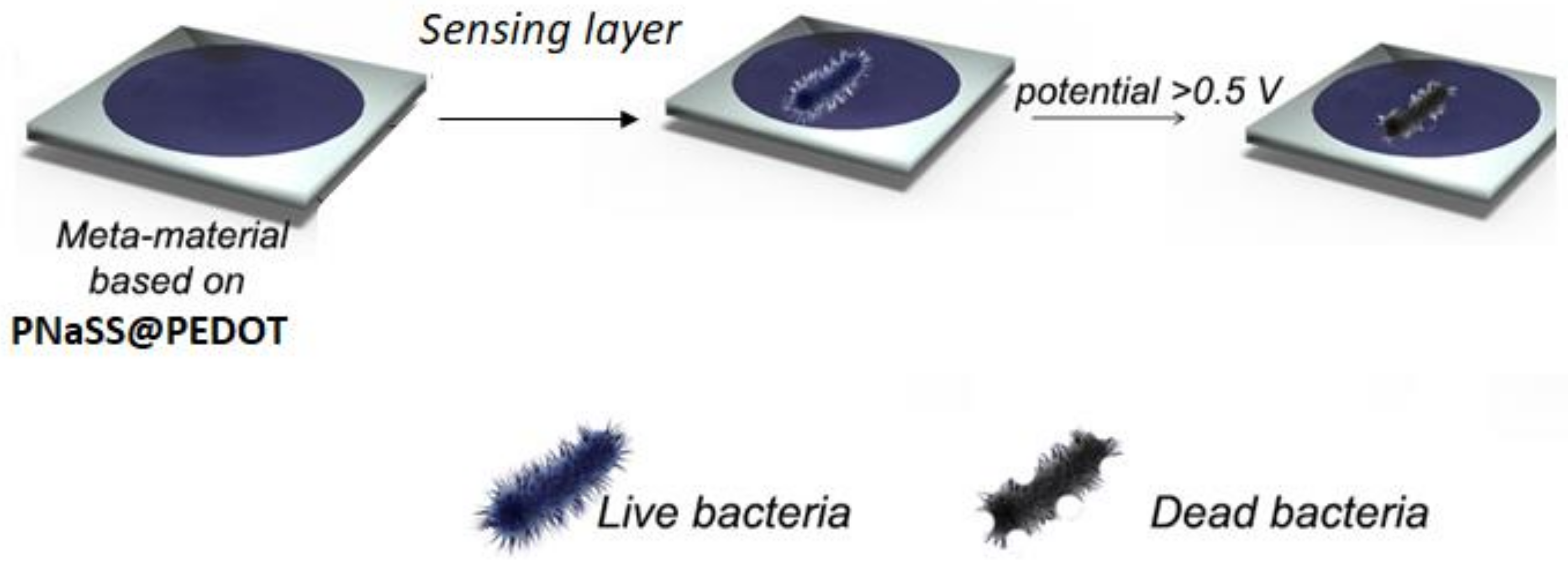 Sensors 22 02784 sch001 550