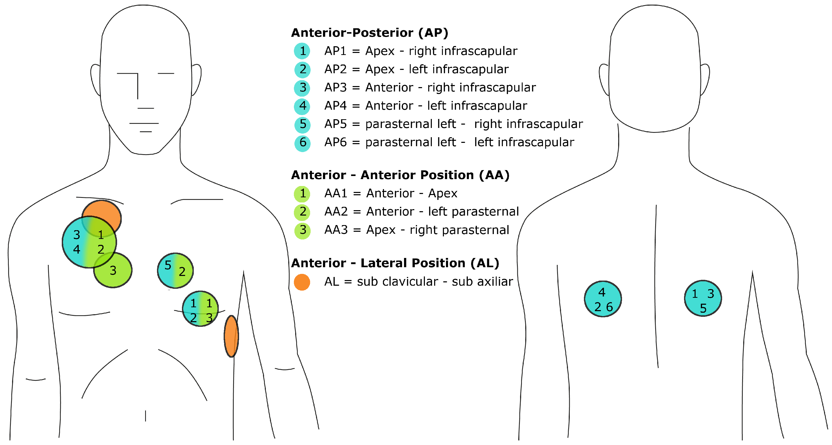 Sensors Free FullText A Systematic Review of the Transthoracic
