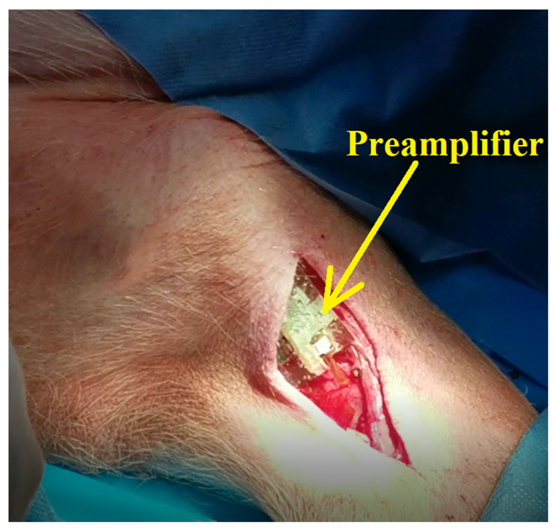 Sensors 22 02823 g020 550