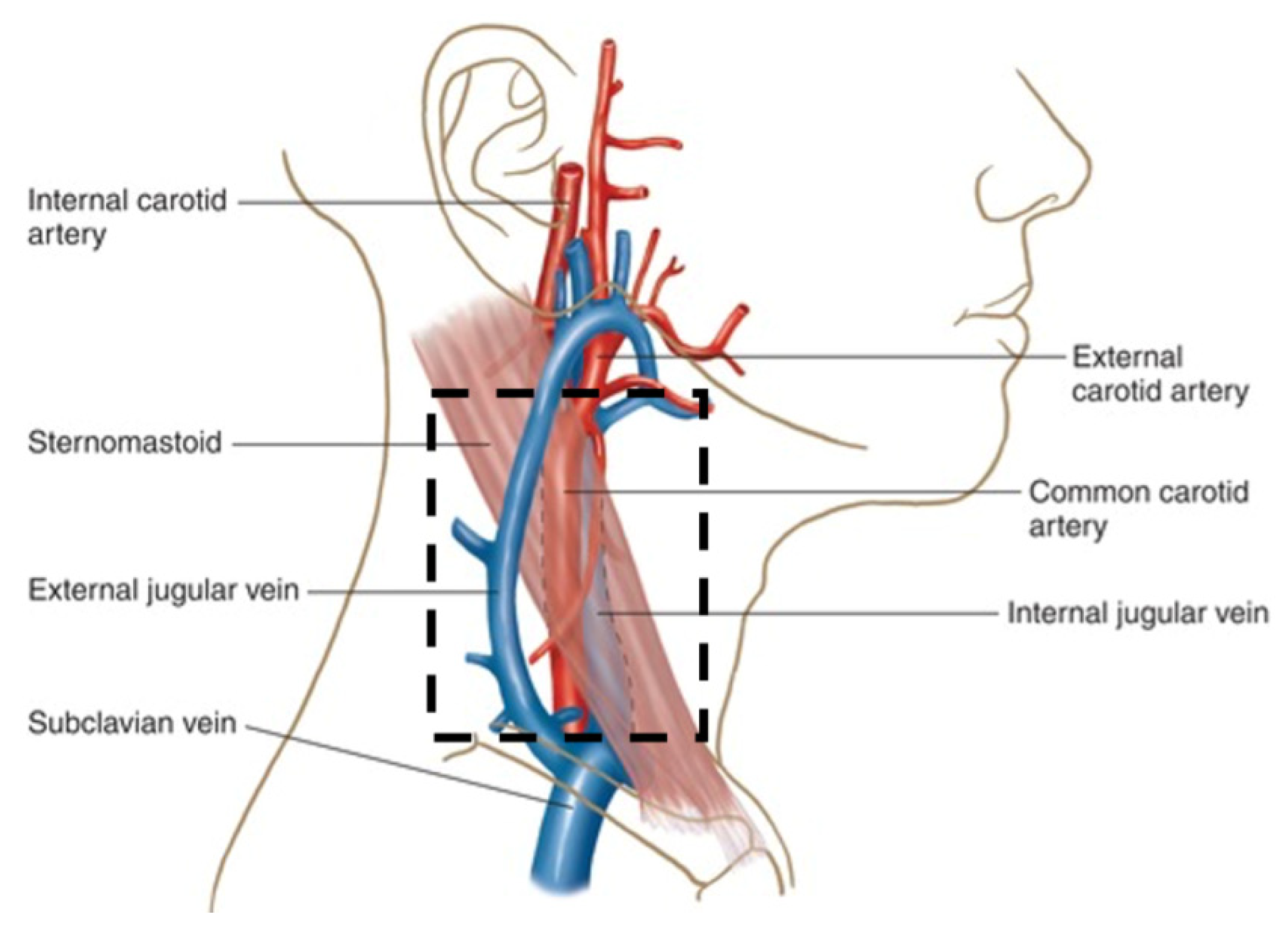 Sensors 22 02830 g004 550
