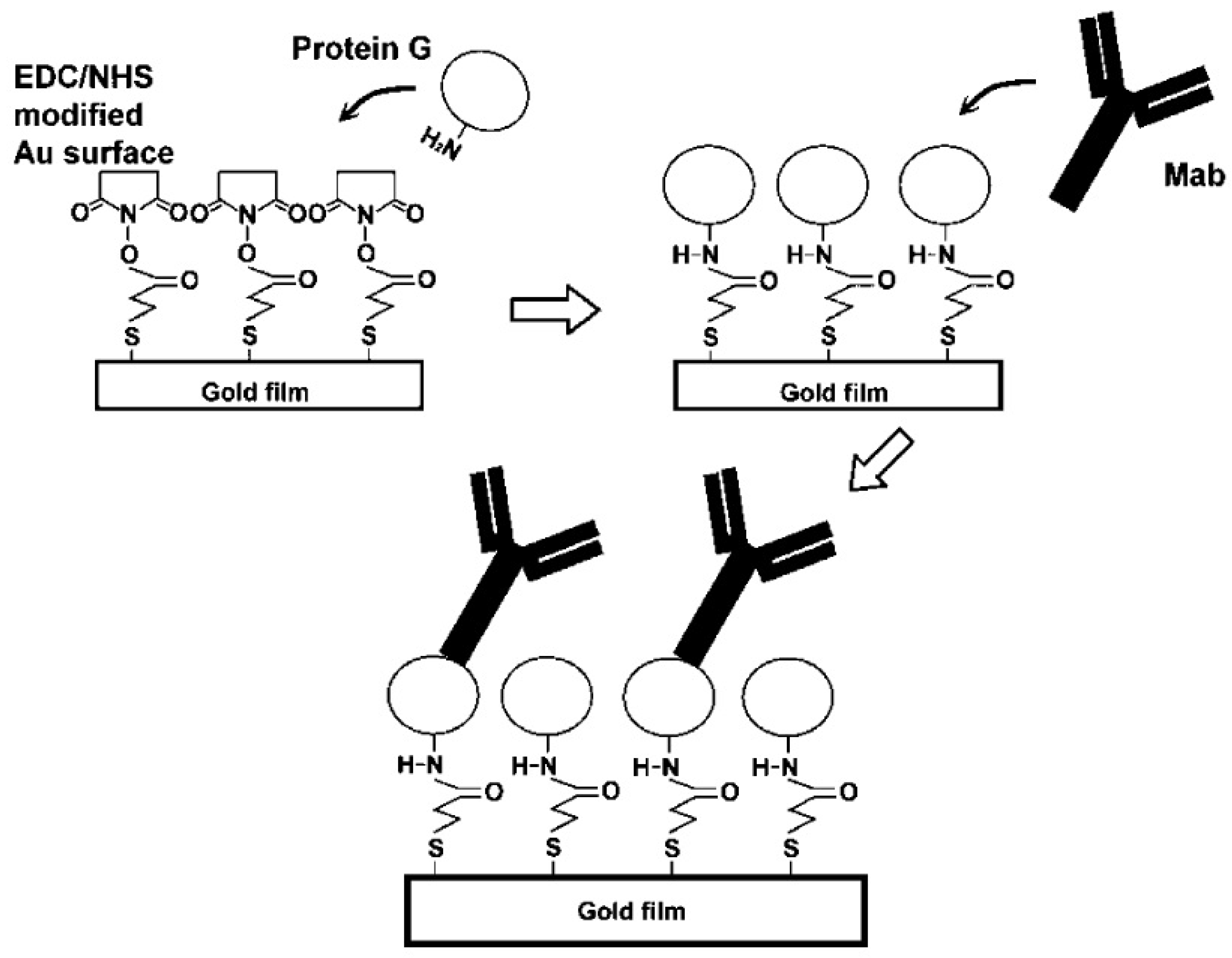 Sensors 22 02901 g002 550