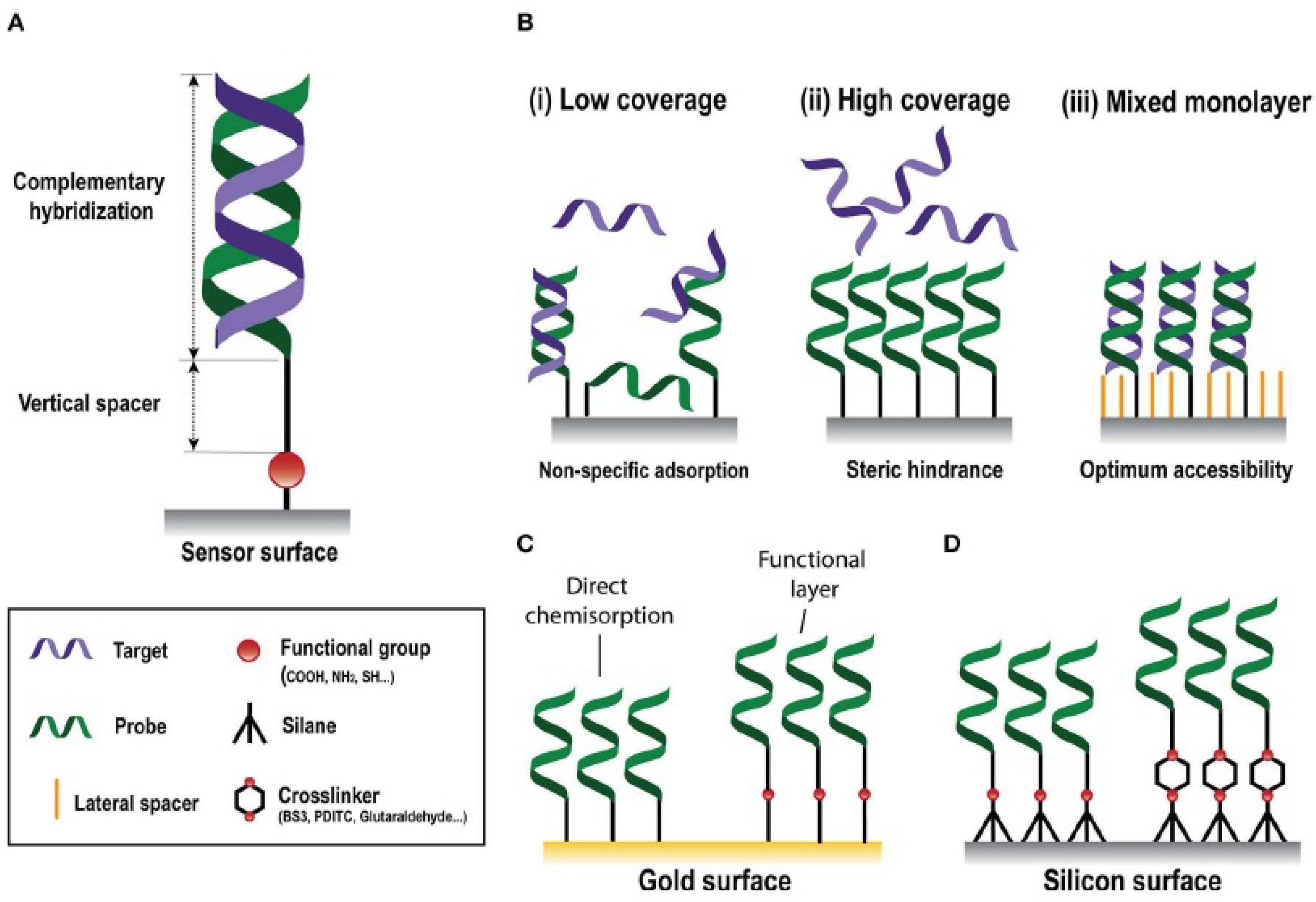 Sensors 22 02901 g005 550