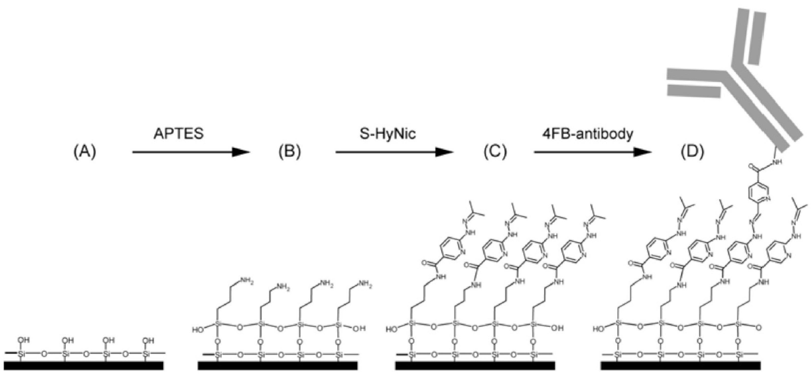Sensors 22 02901 g006 550