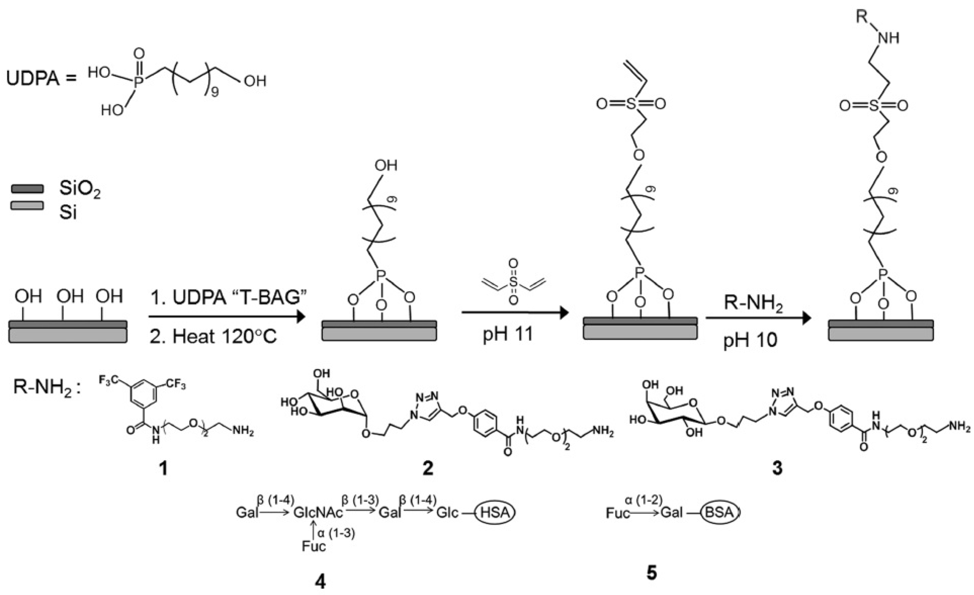Sensors 22 02901 g007 550