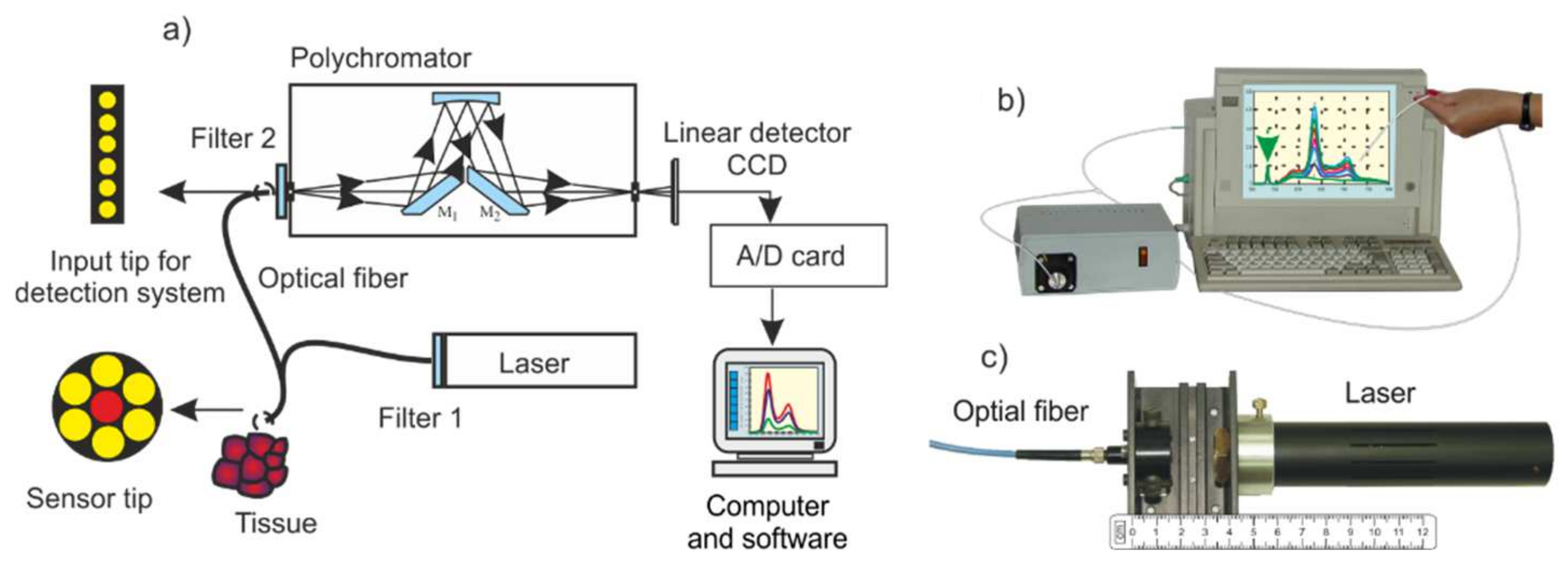 Sensors Free FullText Applications of LaserInduced Fluorescence