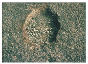 Sensors 22 03044 i005