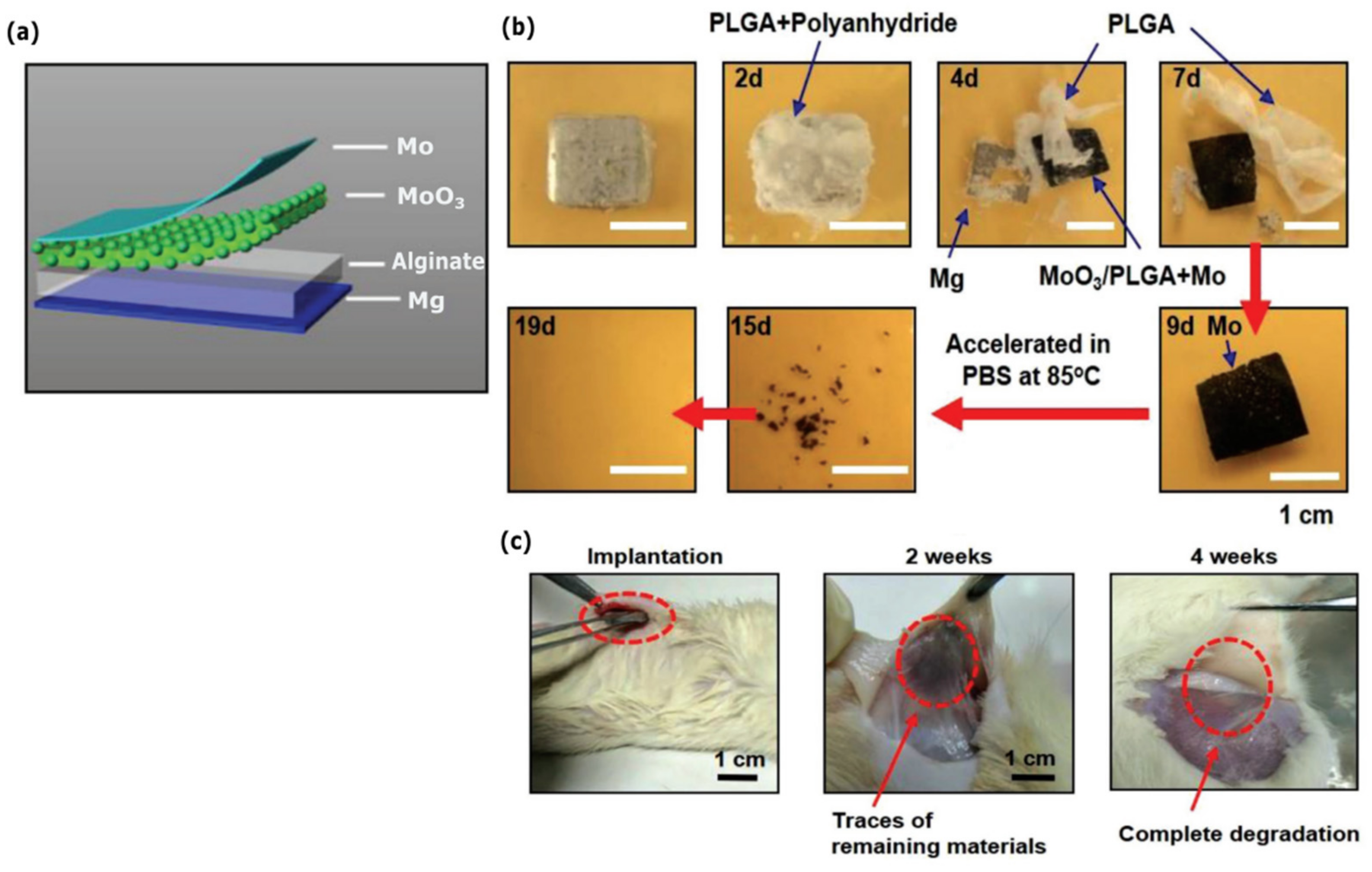 Sensors 22 03062 g007