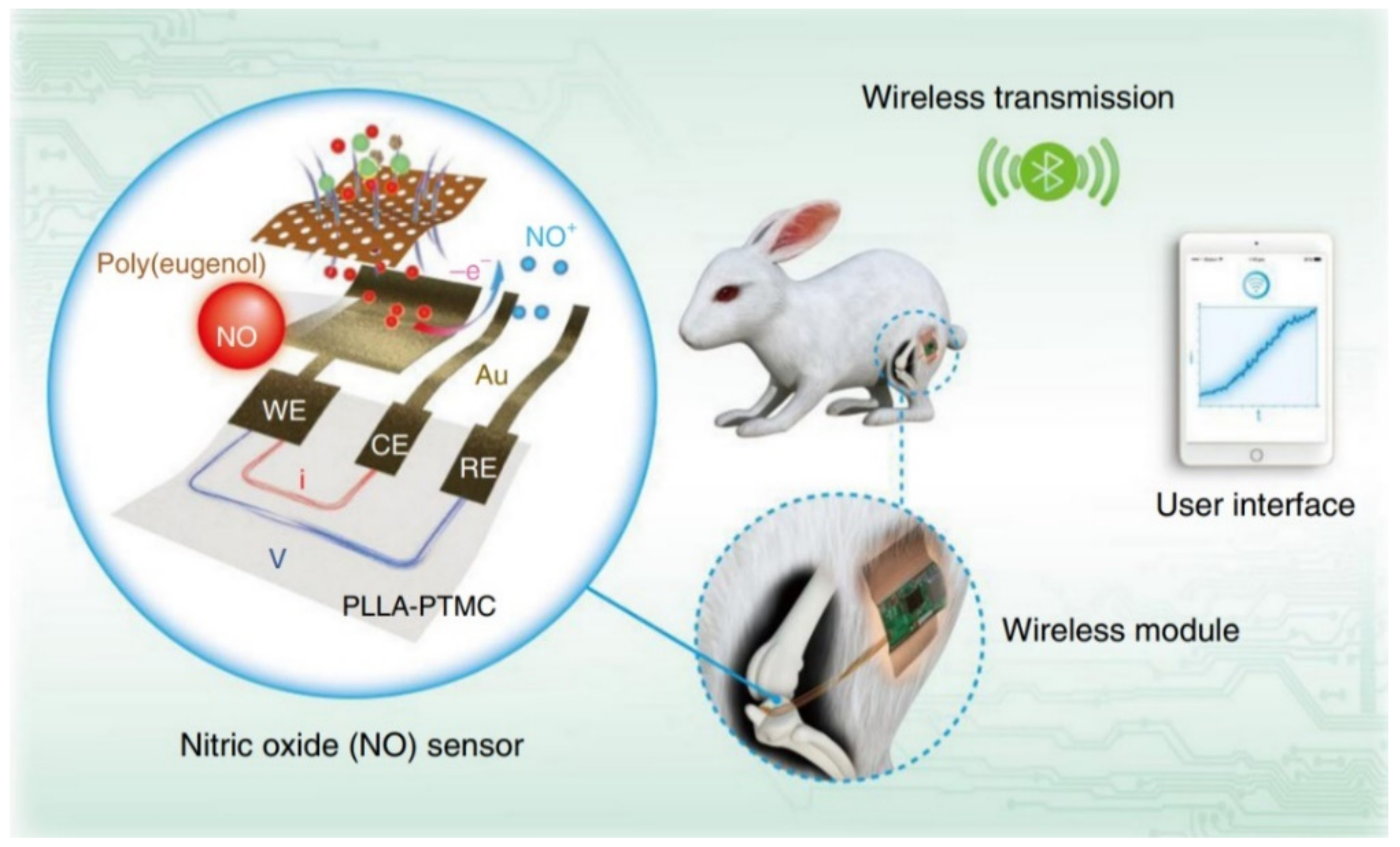 Sensors 22 03062 g009