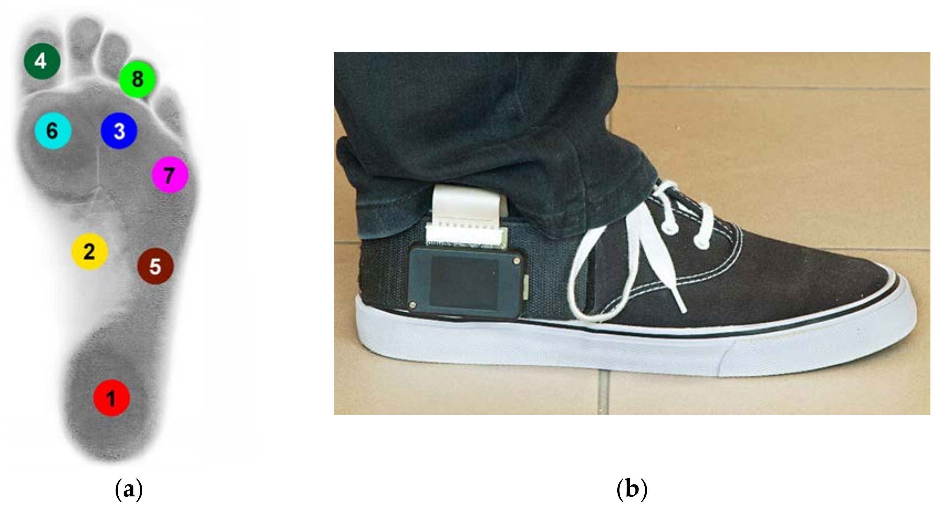 Sensors 22 03098 g001 Sensors 22 03098 g001