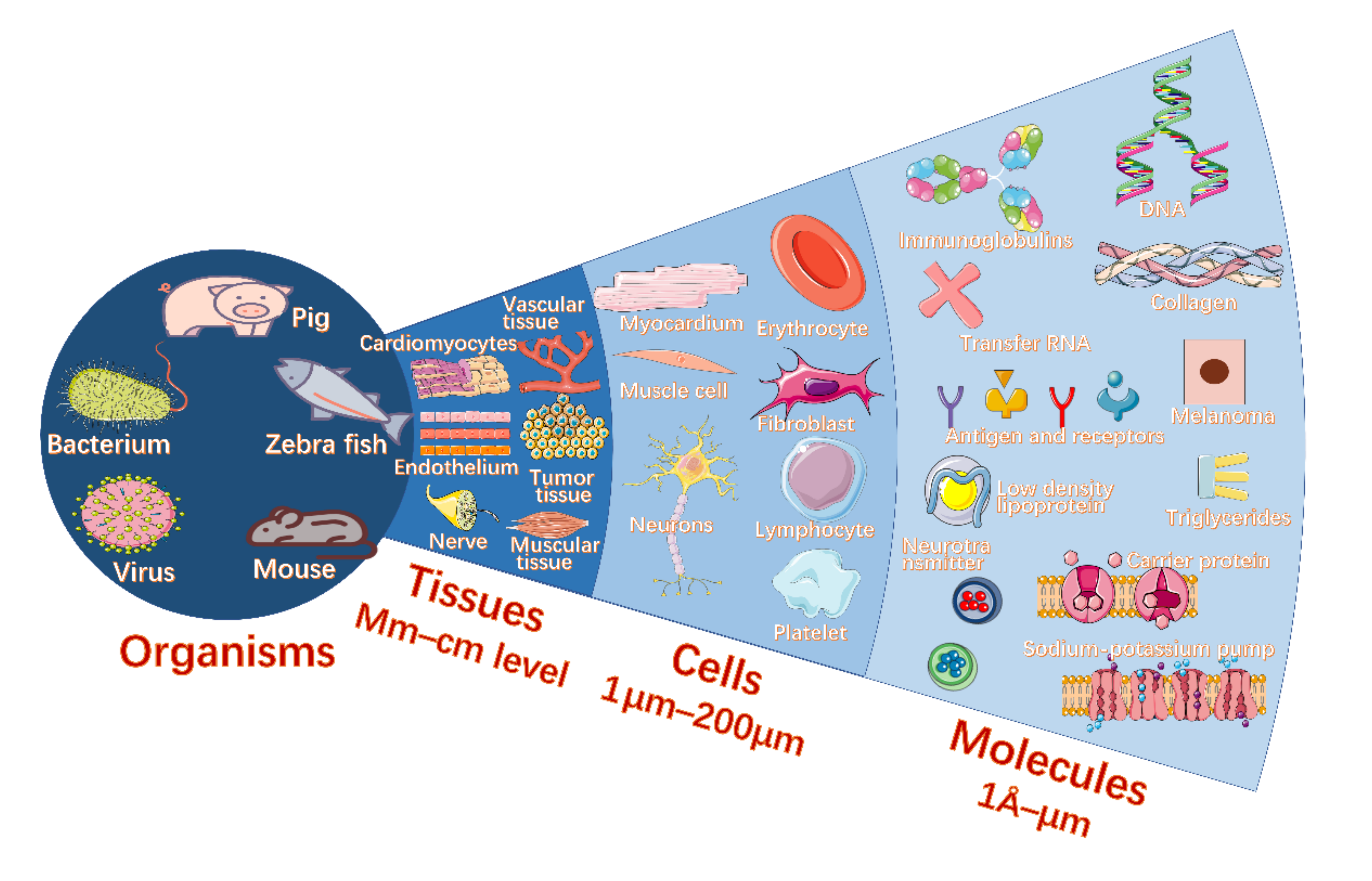 Sensors 22 03149 g001