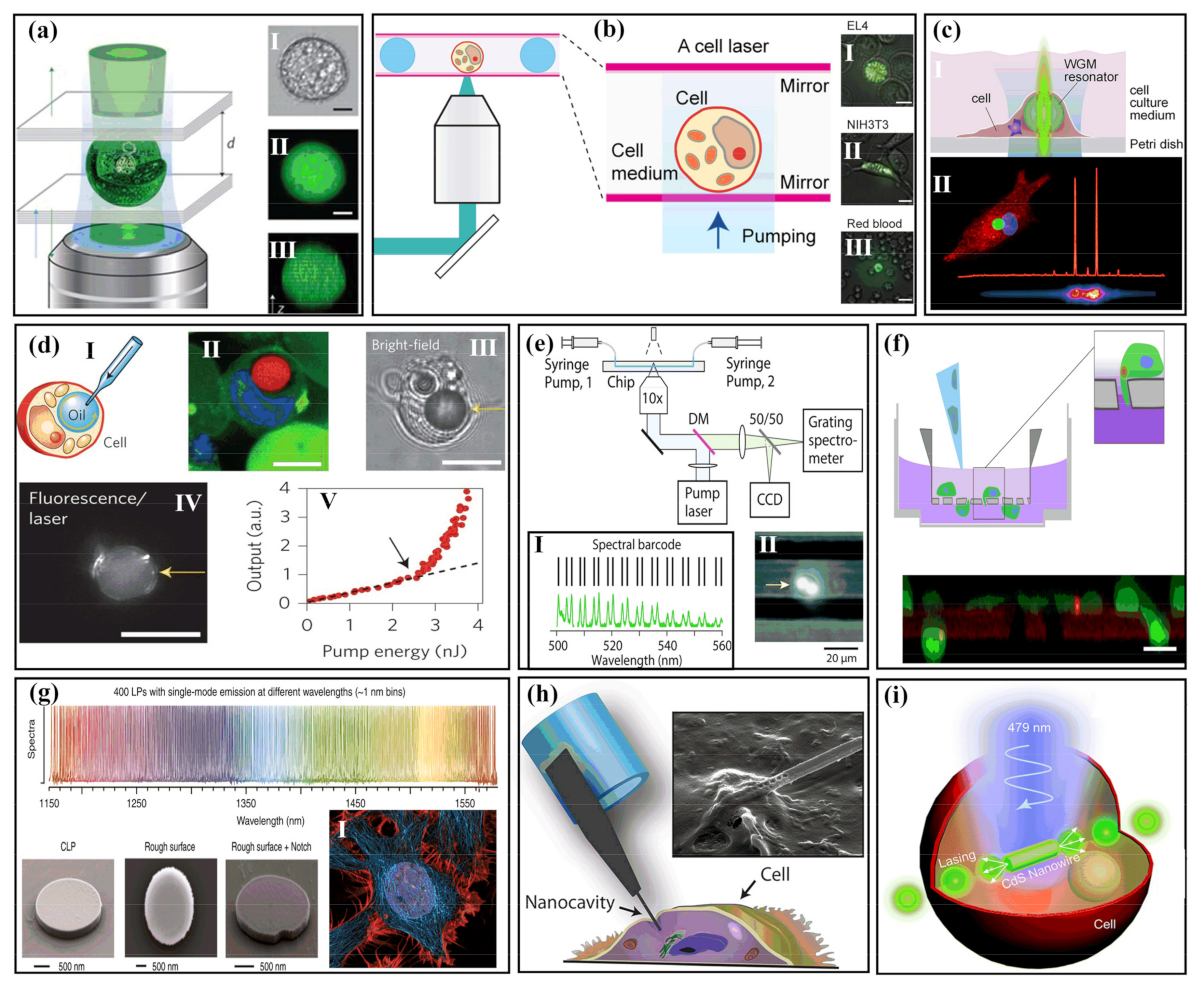 Sensors 22 03149 g004