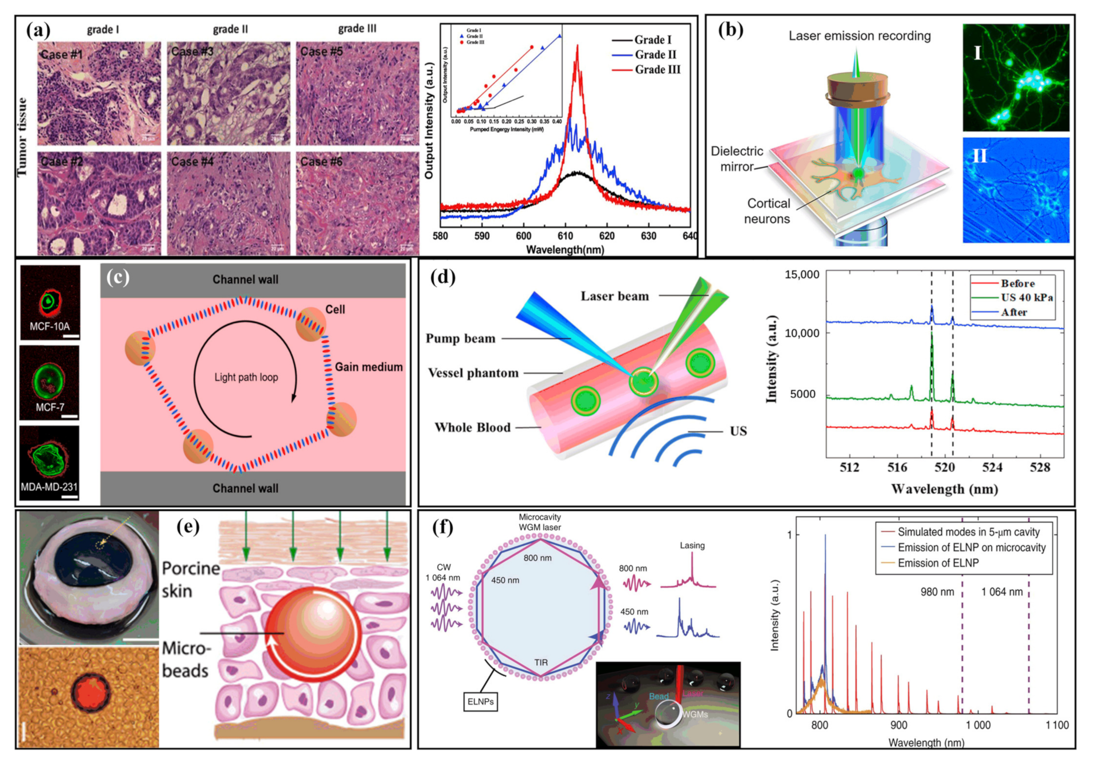 Sensors 22 03149 g005