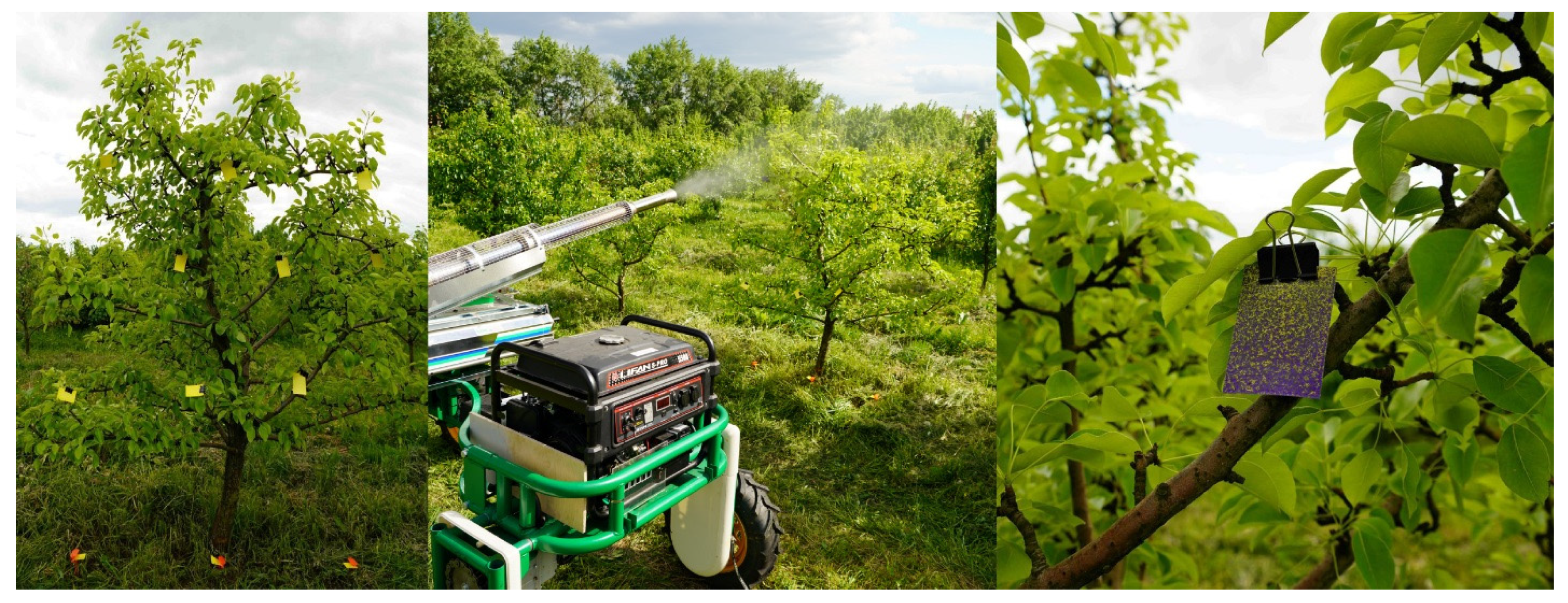 Sensors 22 03164 g004