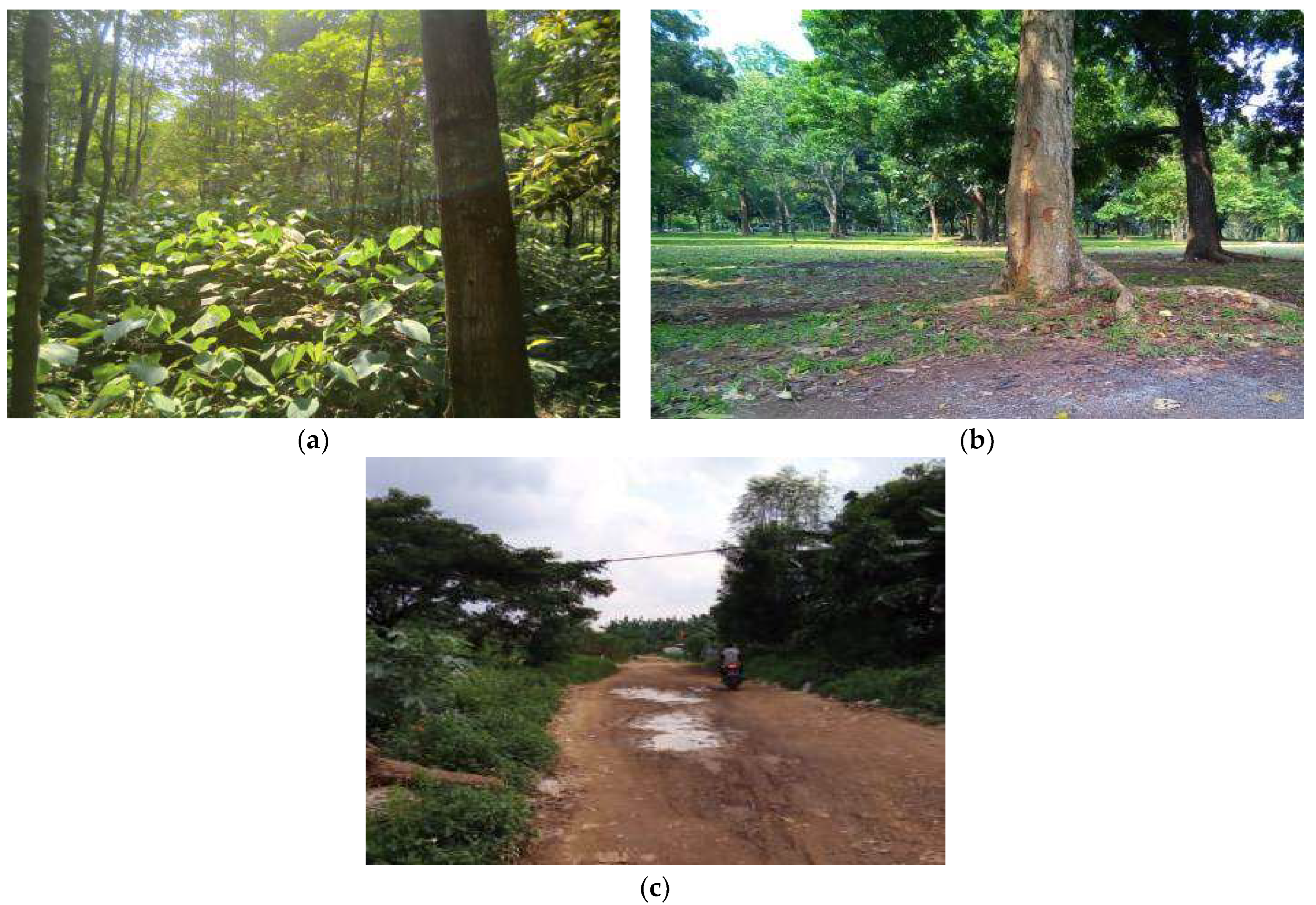 Sensors 22 03267 g002 Sensors 22 03267 g002