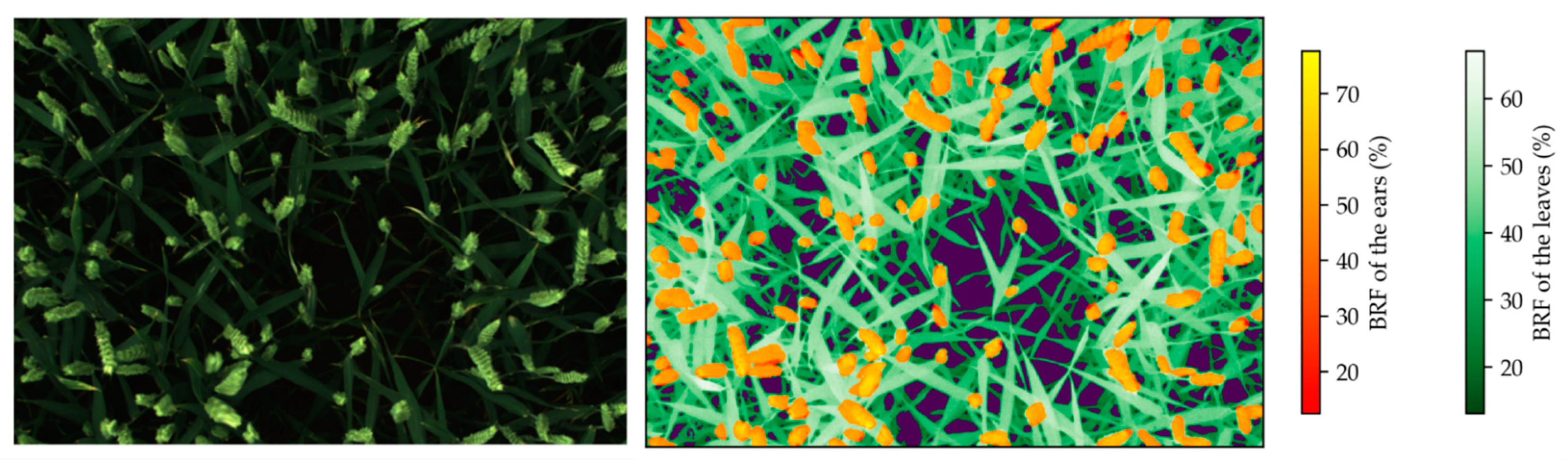 Sensors 22 03342 g003 Sensors 22 03342 g003